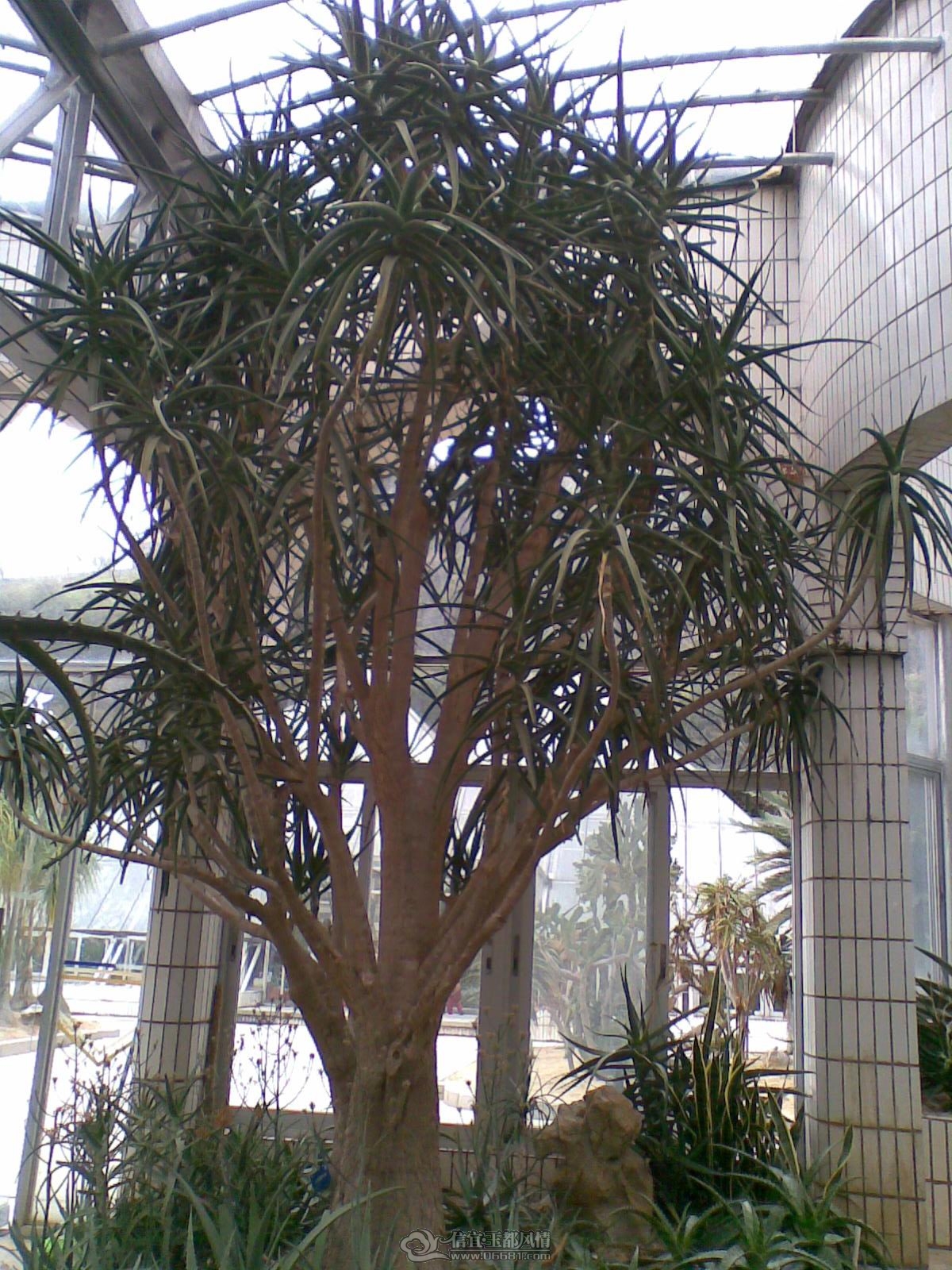 20120226(052).jpg