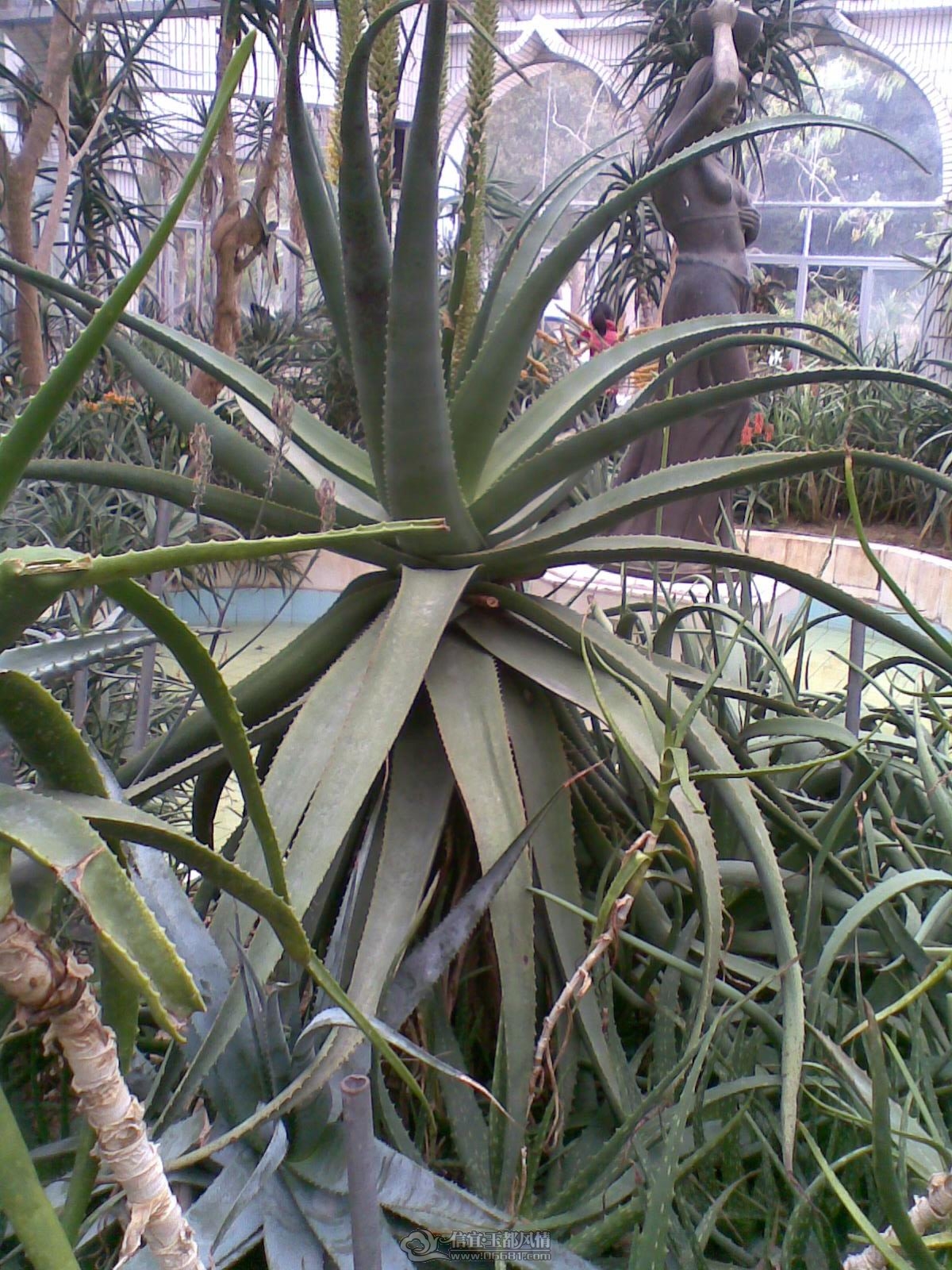 20120226(056).jpg