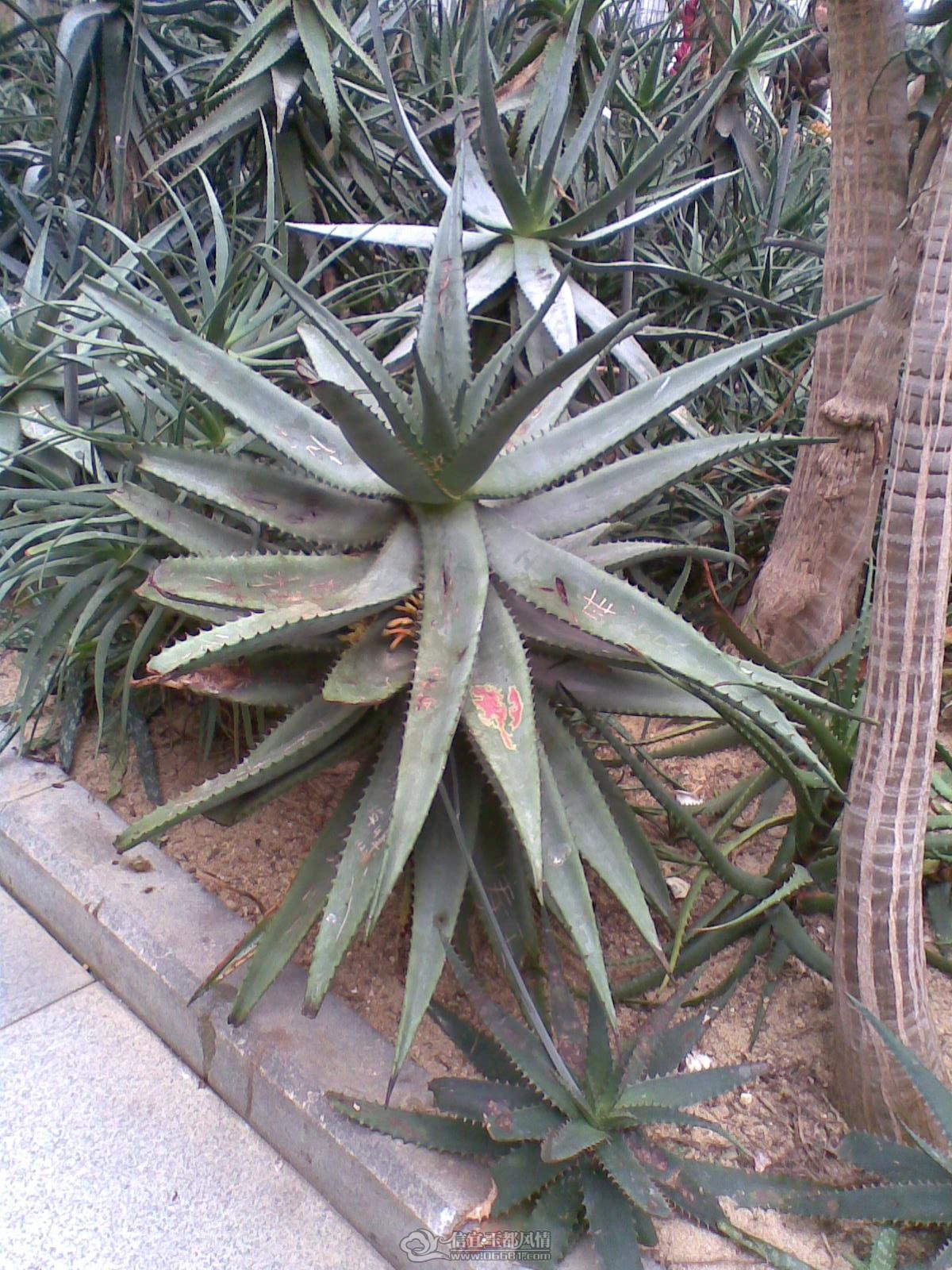 20120226(057).jpg