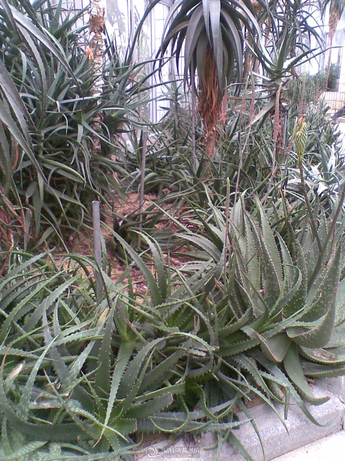 20120226(059).jpg
