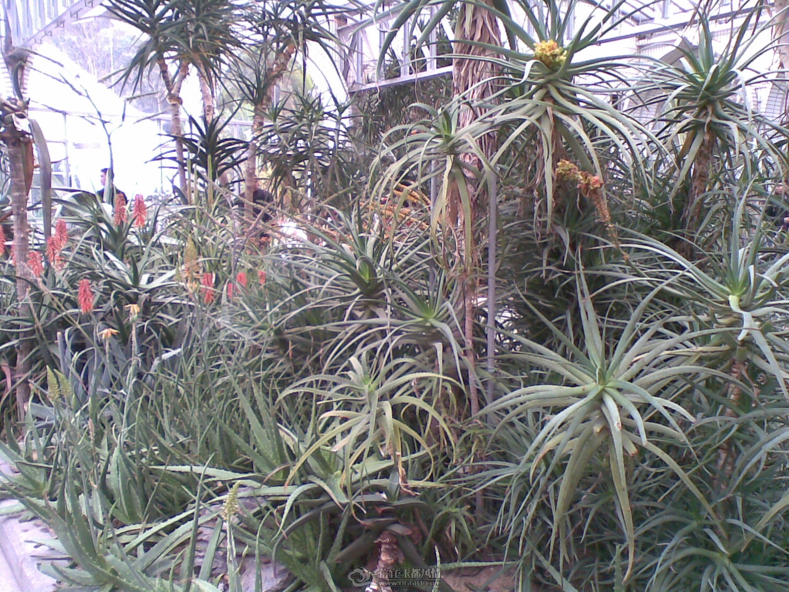 20120226(063).jpg