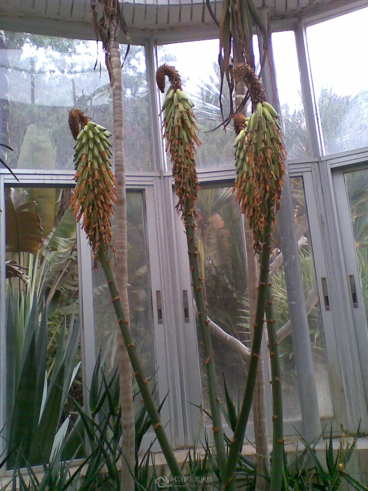 20120226(067).jpg