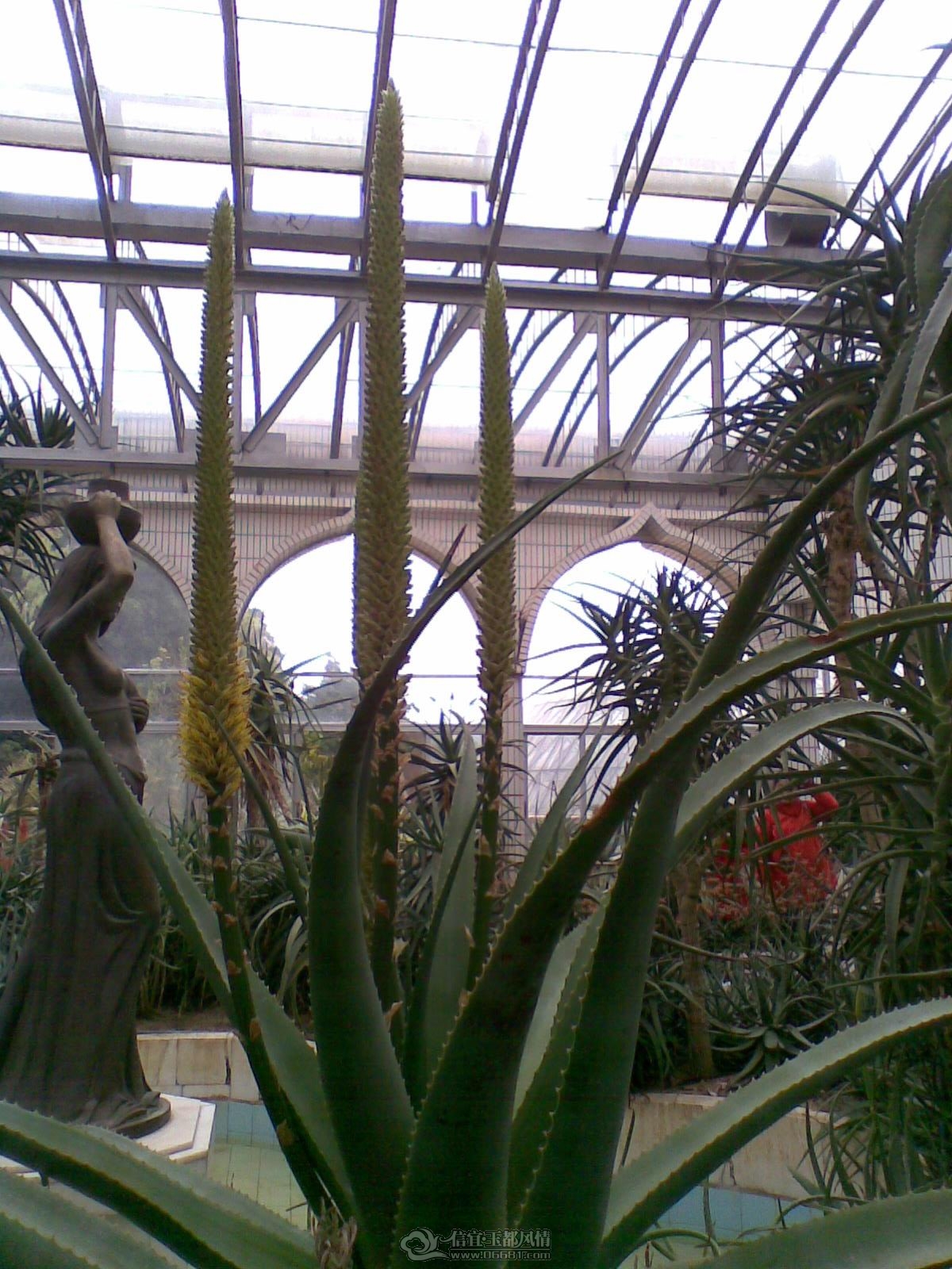 20120226(068).jpg