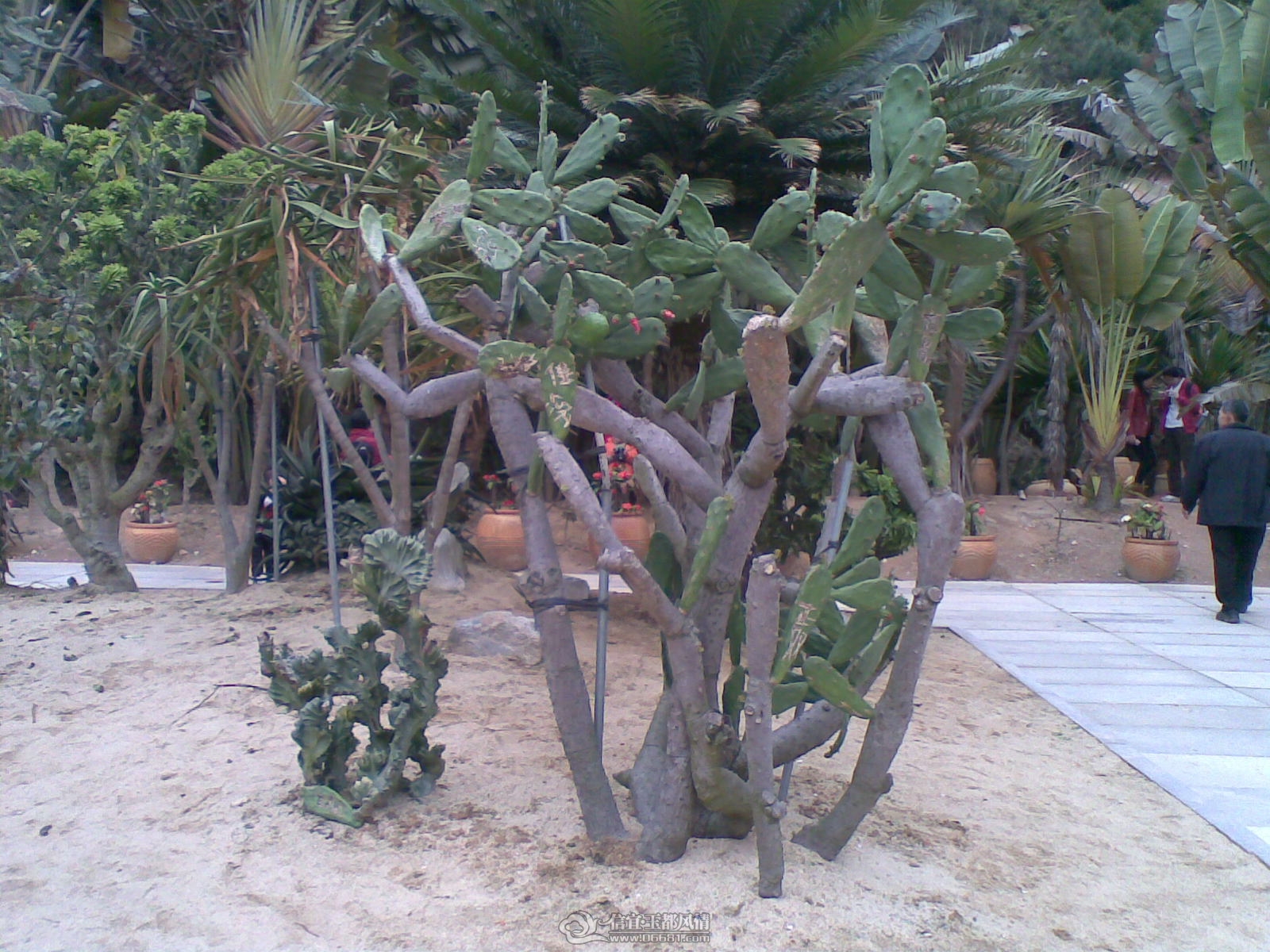 20120226(069).jpg