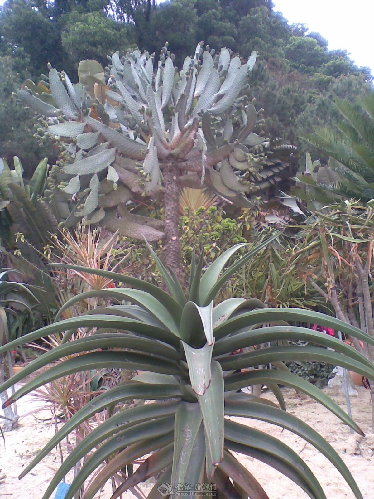 20120226(070).jpg