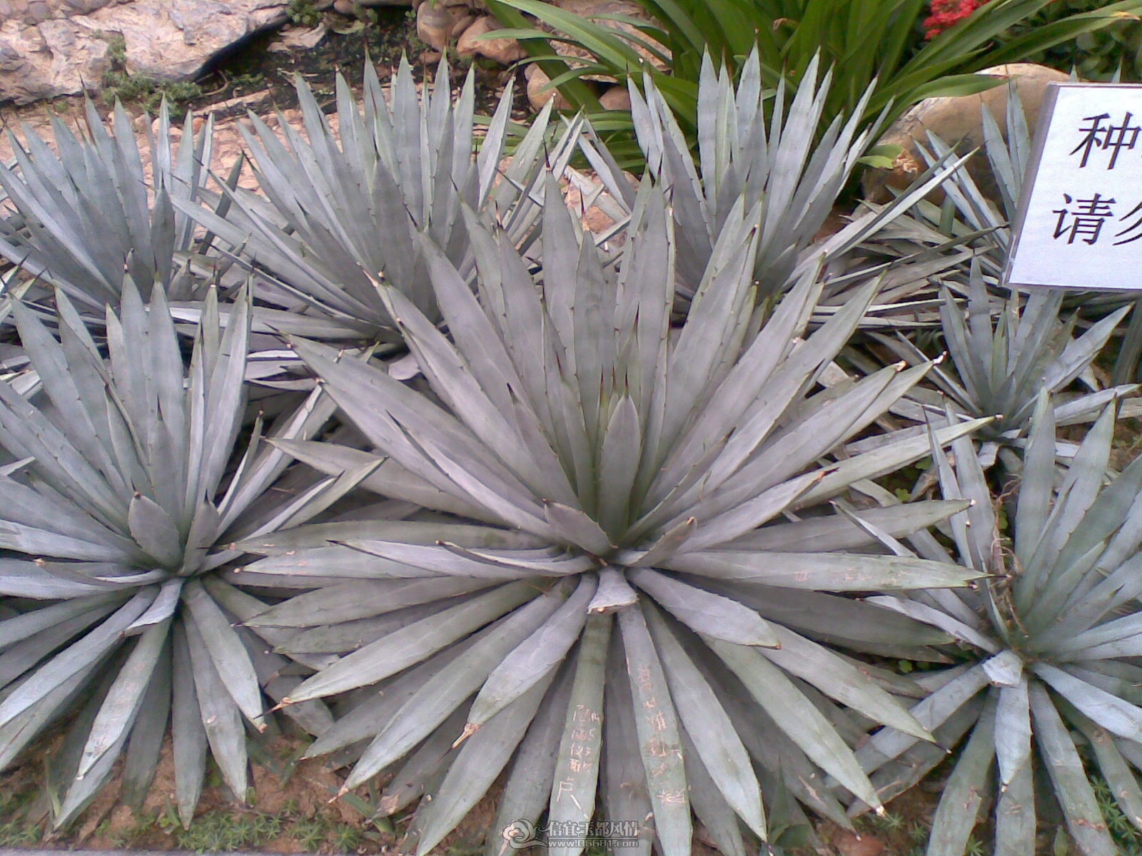 20120226(071).jpg