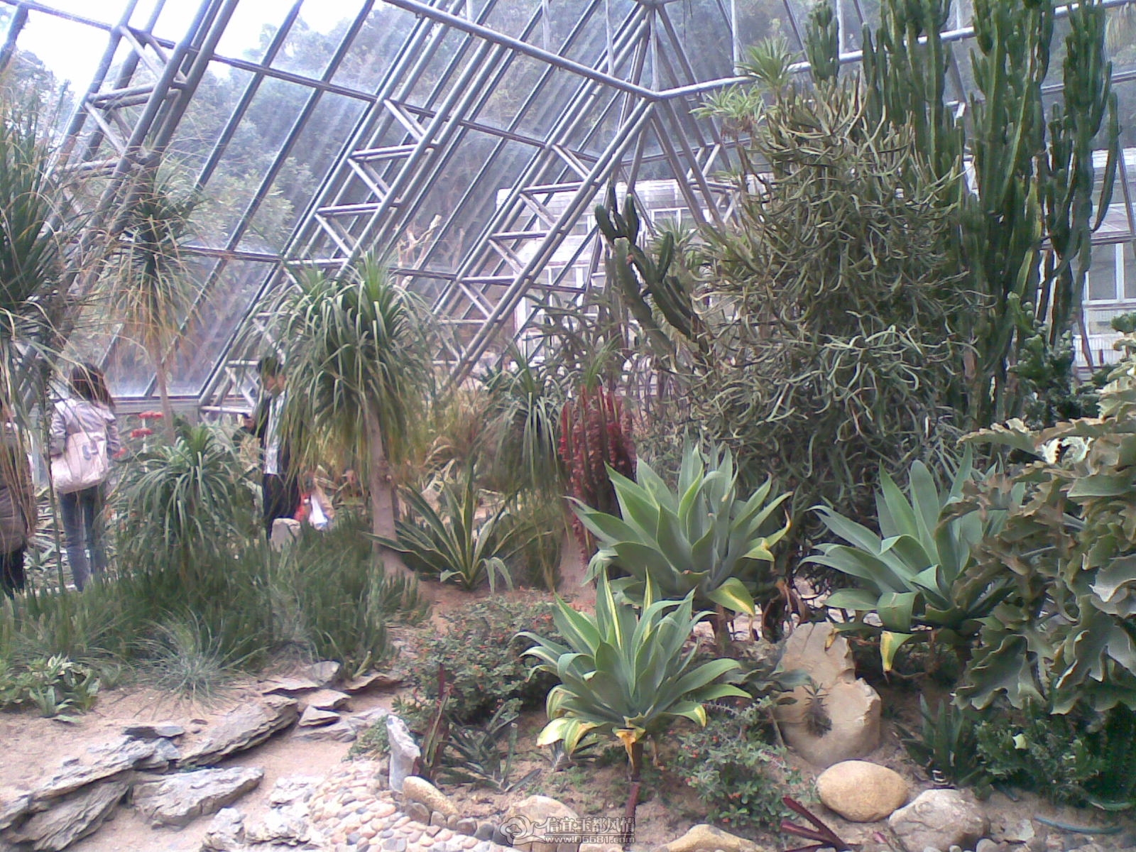 20120226(072).jpg