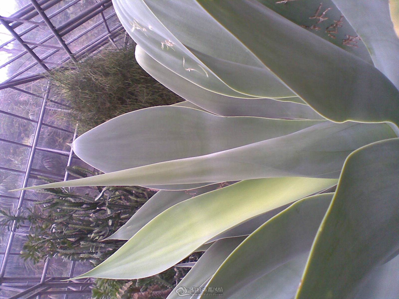 20120226(078).jpg