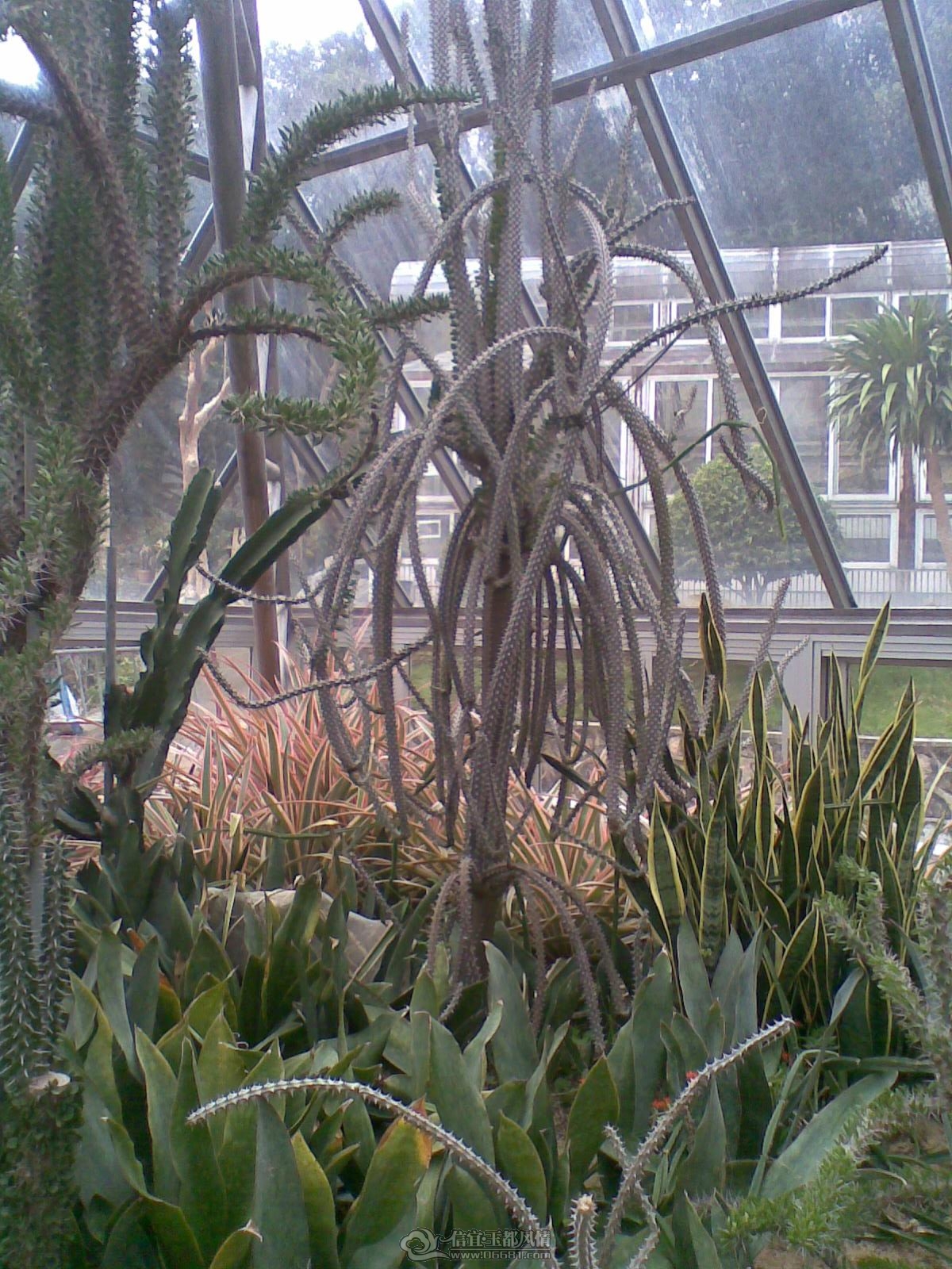 20120226(082).jpg
