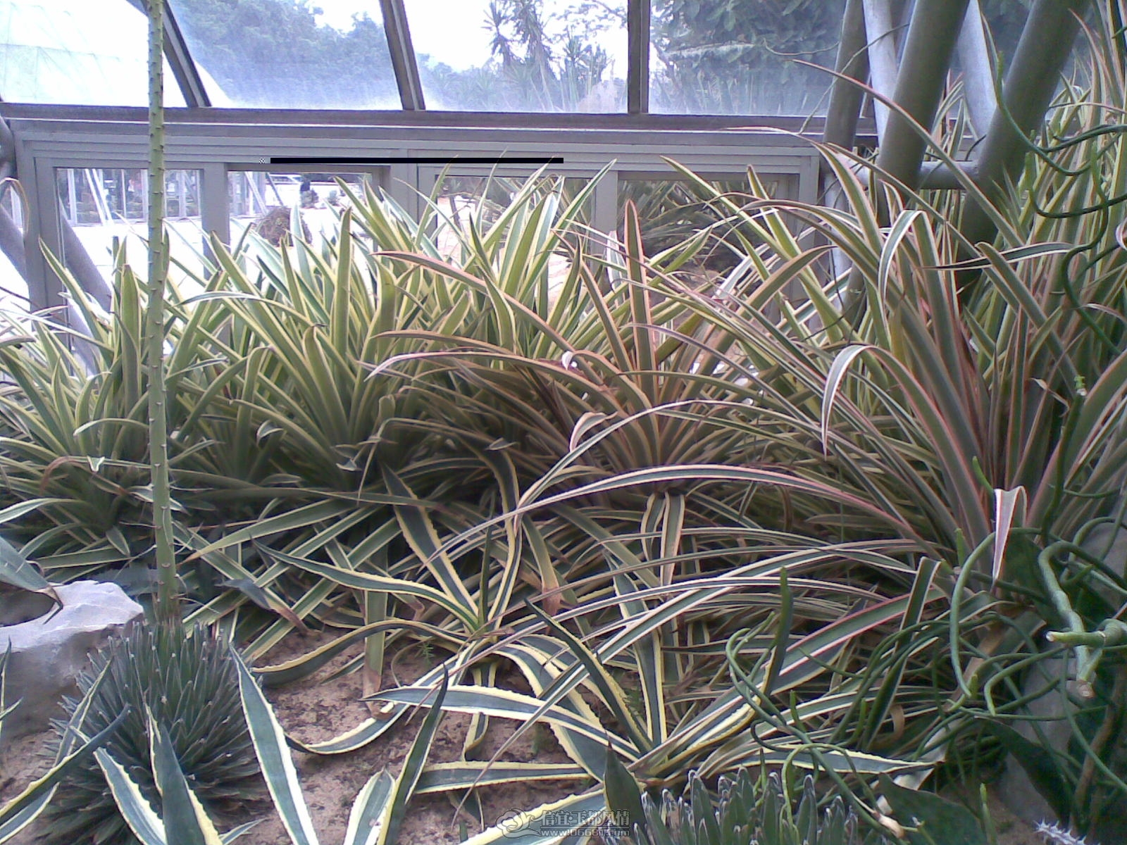 20120226(086).jpg
