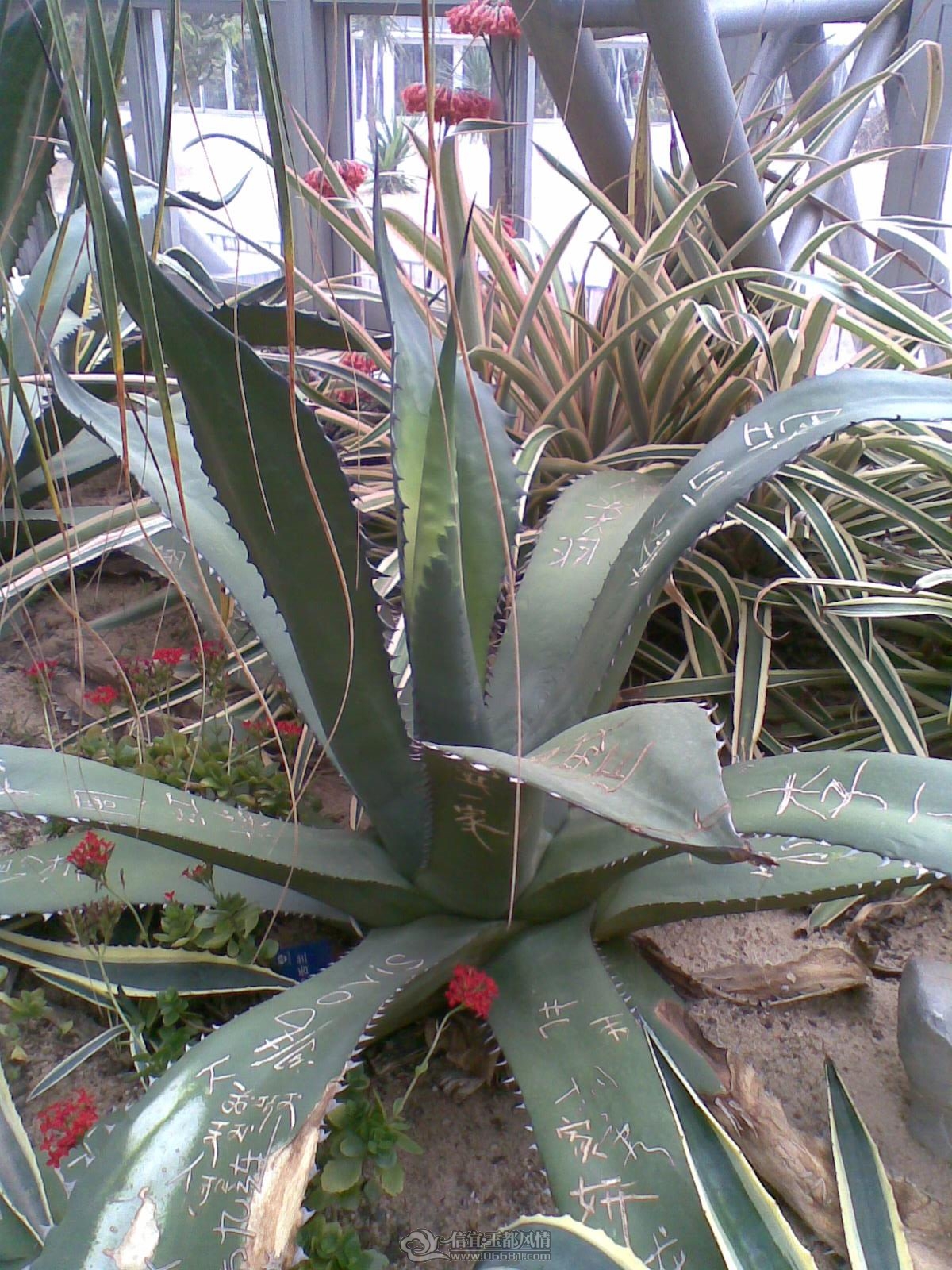 20120226(088).jpg