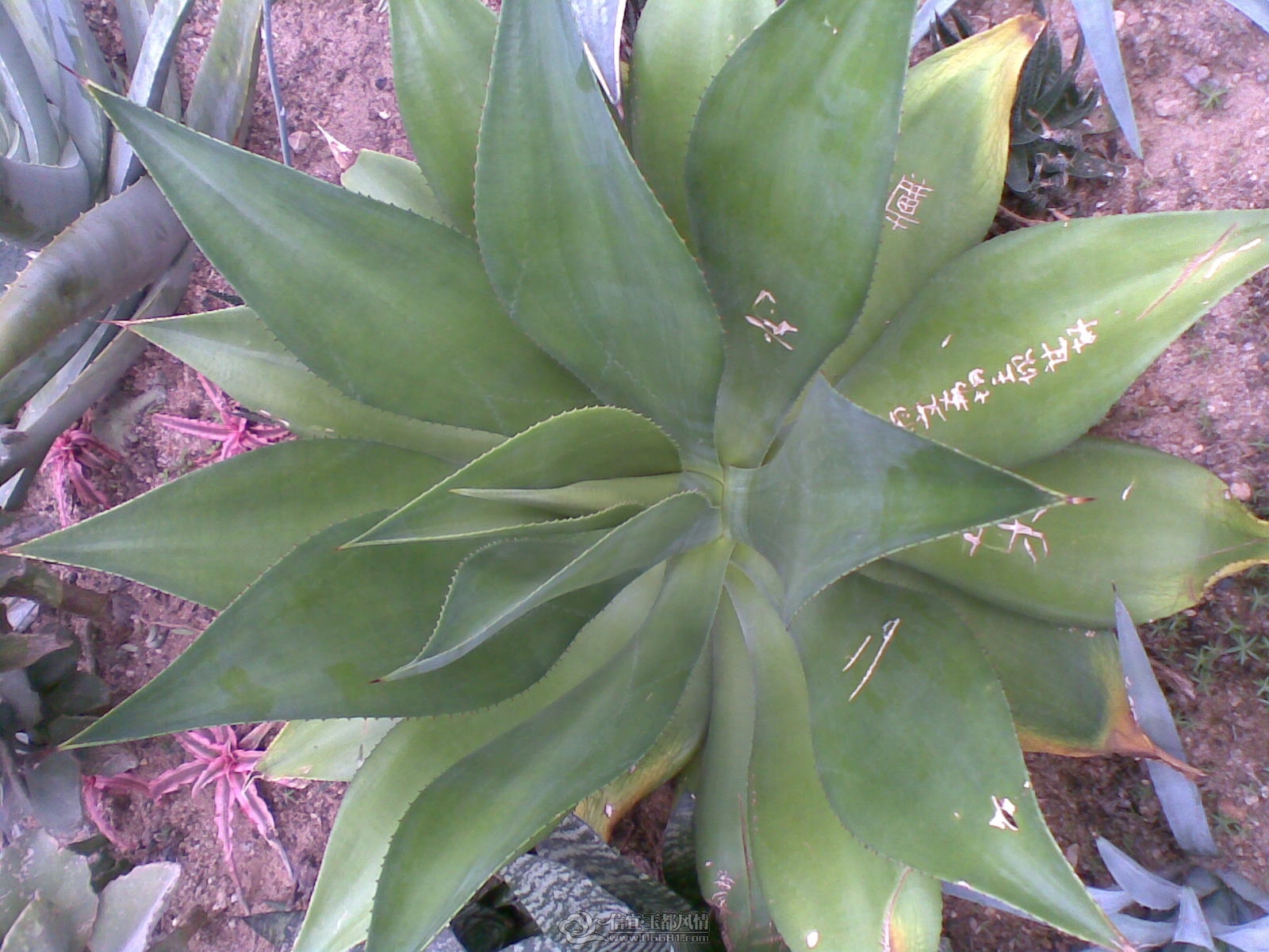 20120226(091).jpg