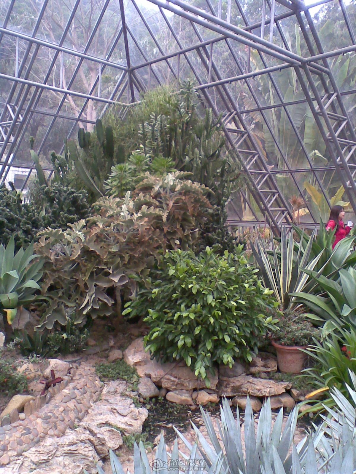 20120226(093).jpg