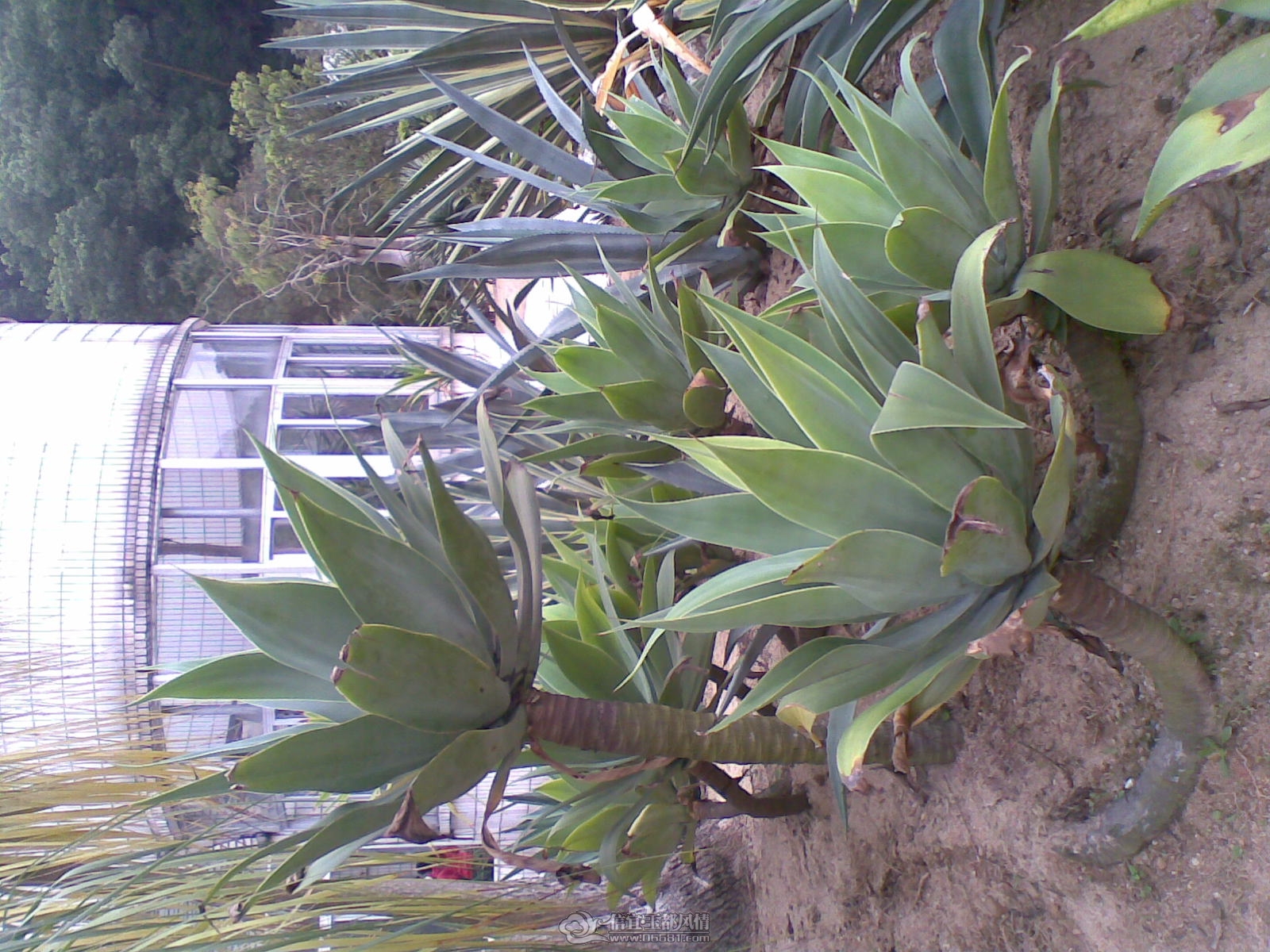 20120226(094).jpg