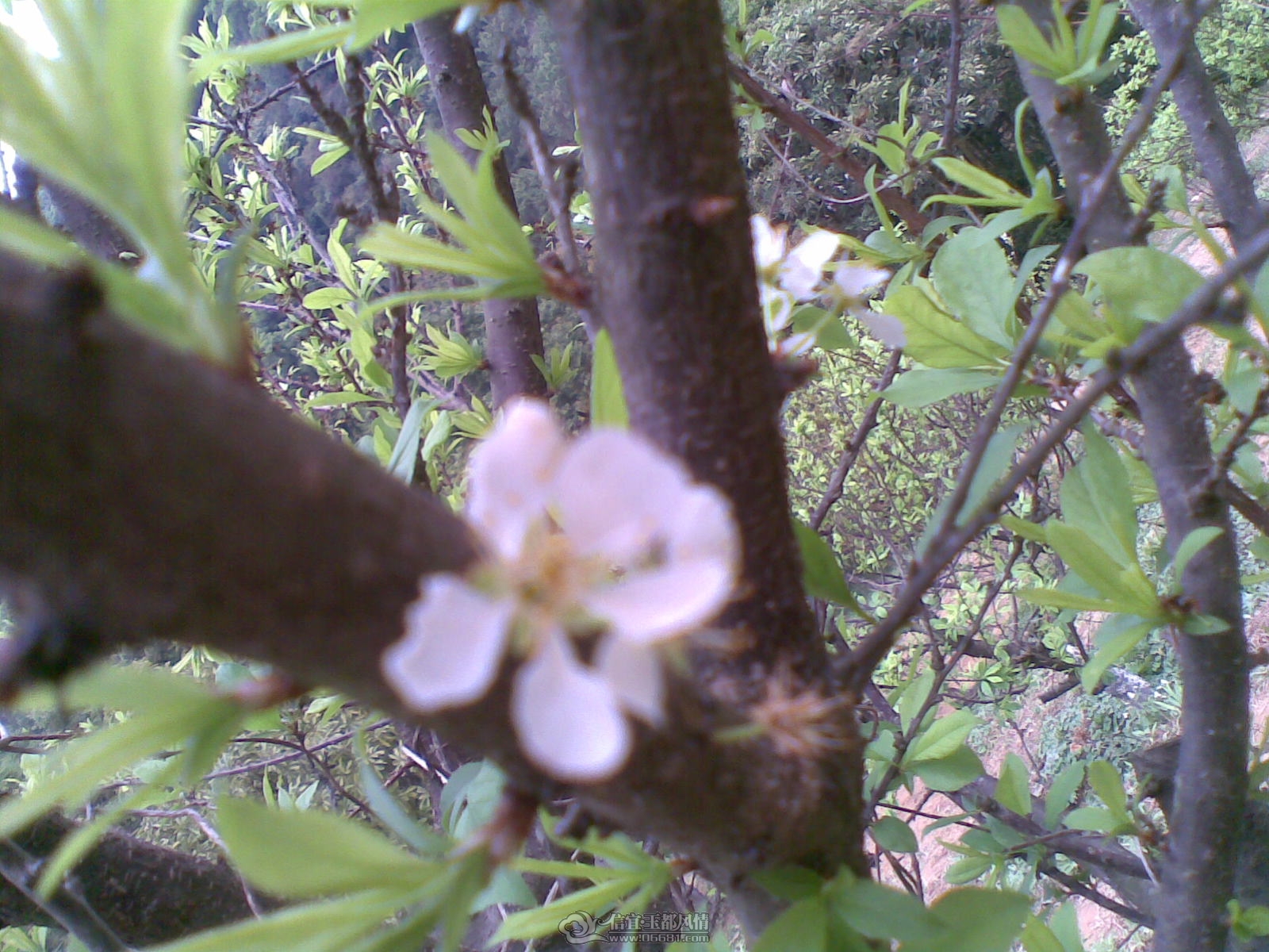 20120226(098).jpg