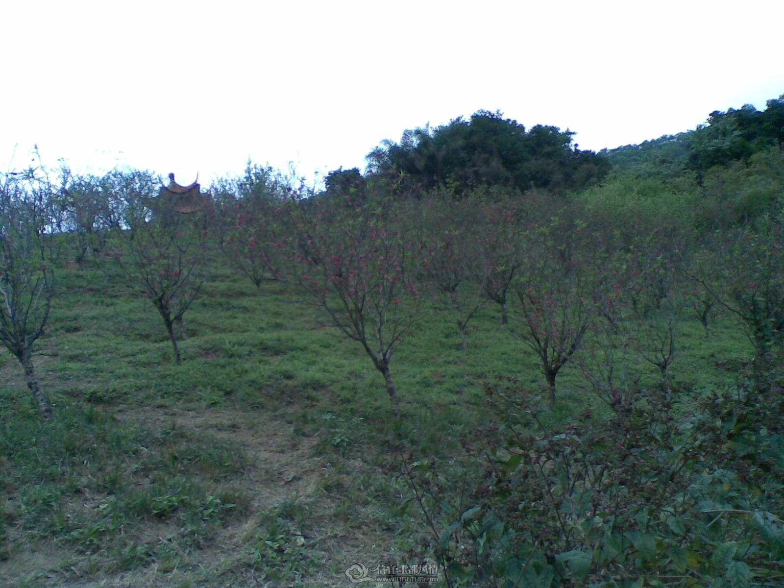 20120226(100).jpg