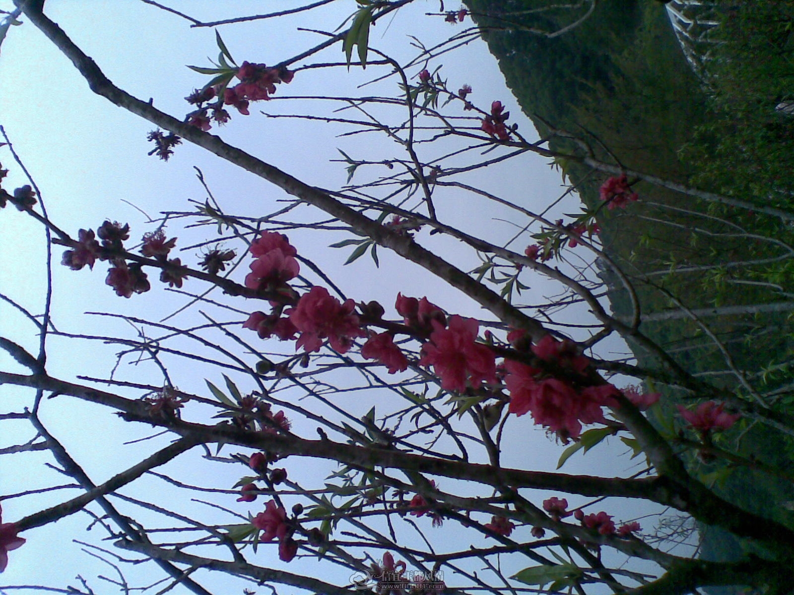 20120226(102).jpg
