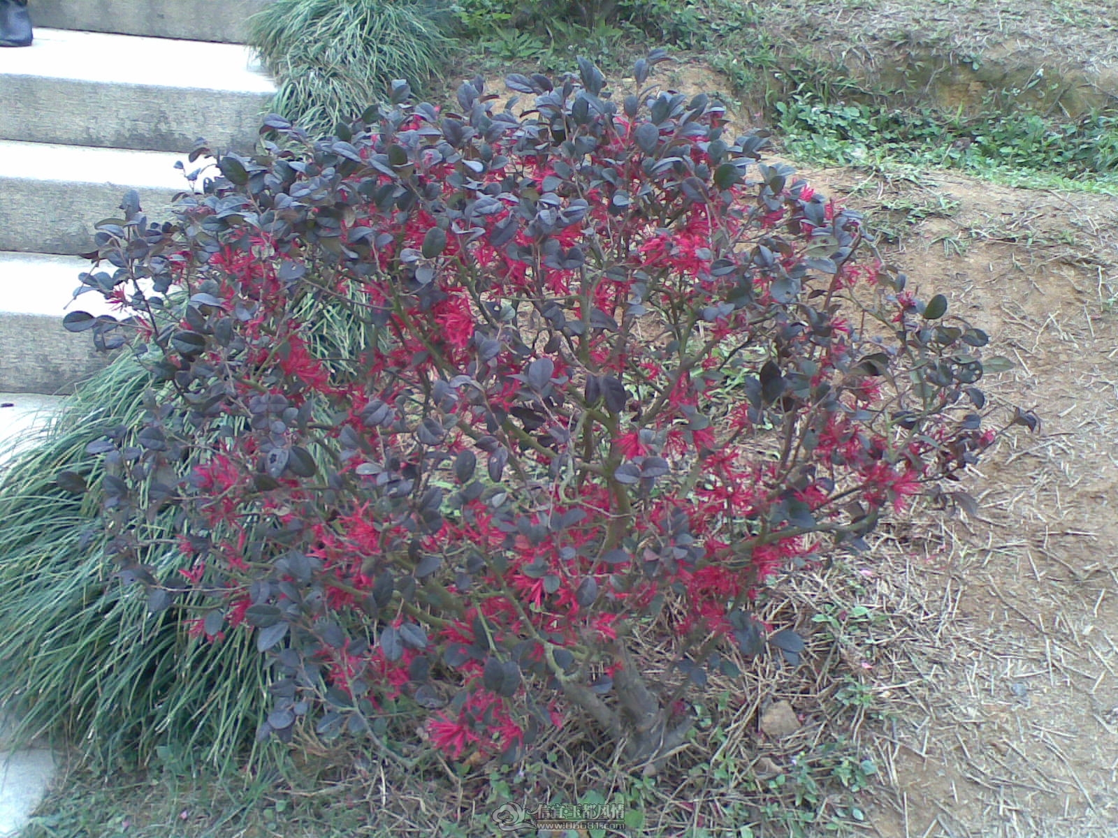 20120226(103).jpg