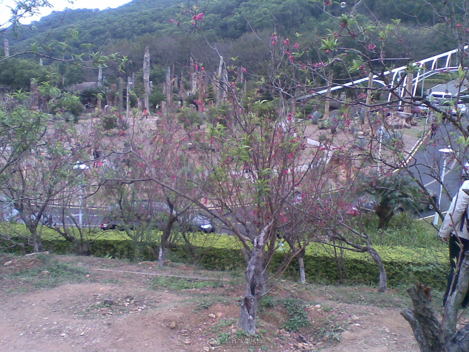 20120226(104).jpg