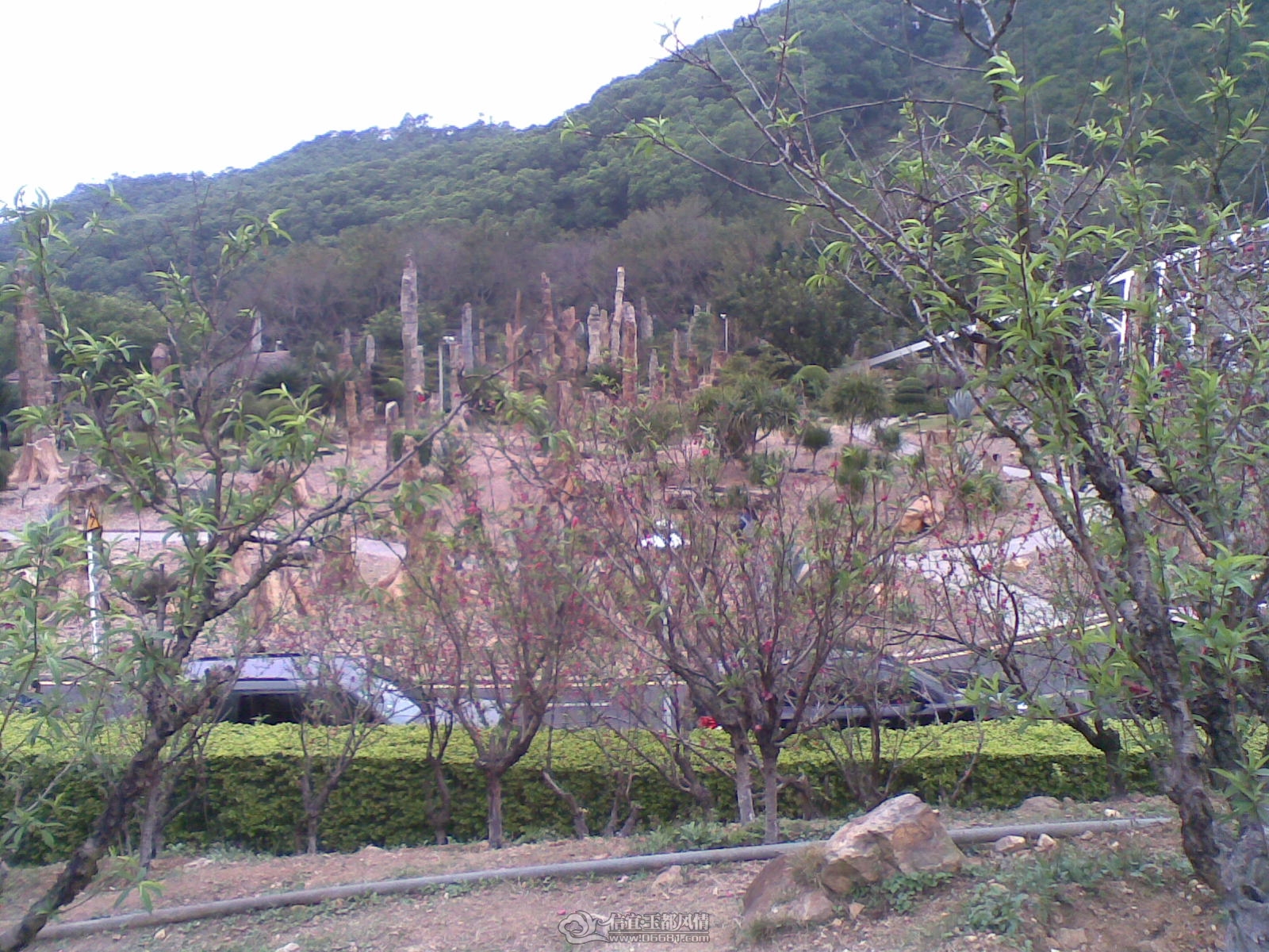 20120226(106).jpg