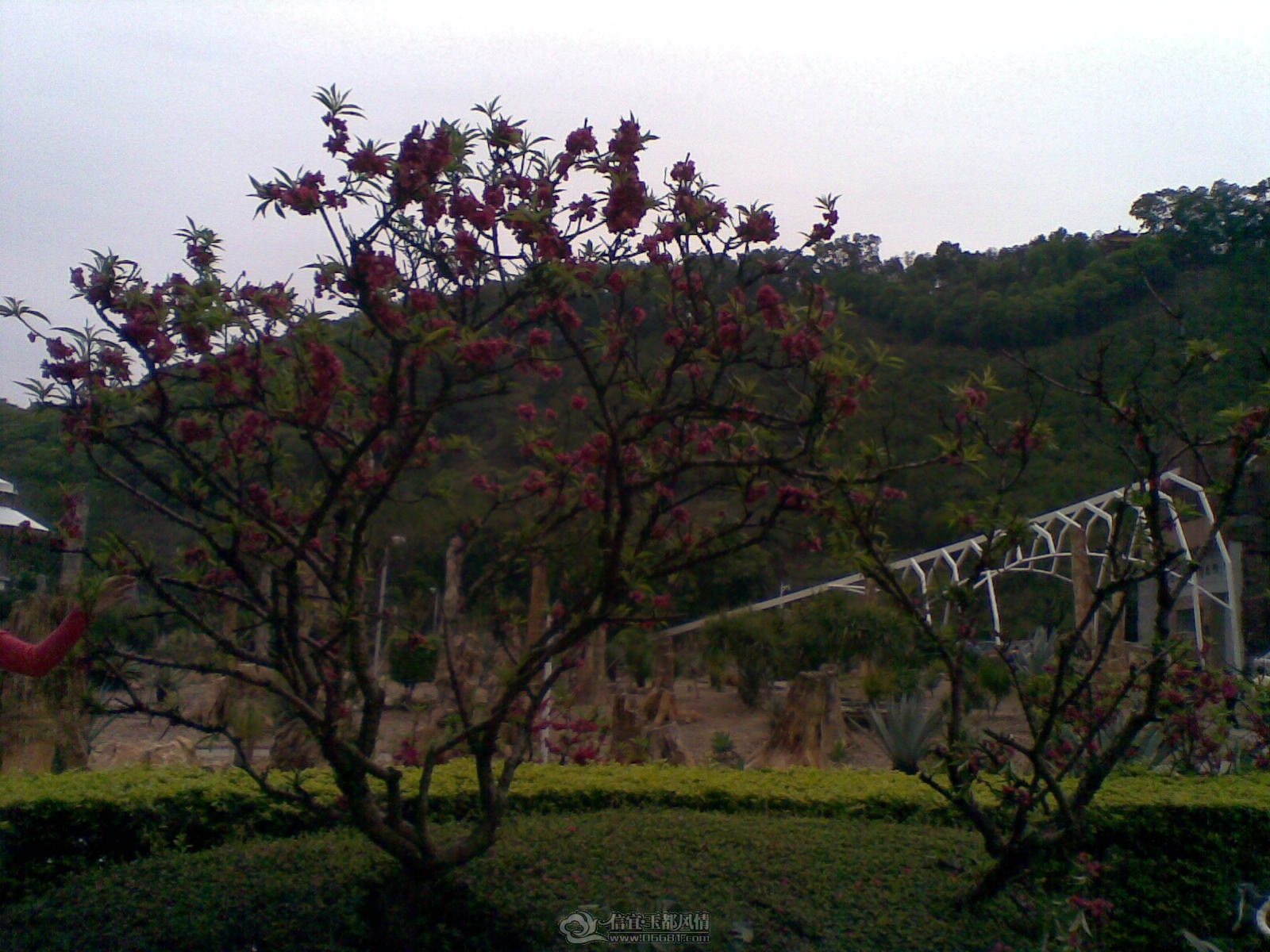 20120226(107).jpg