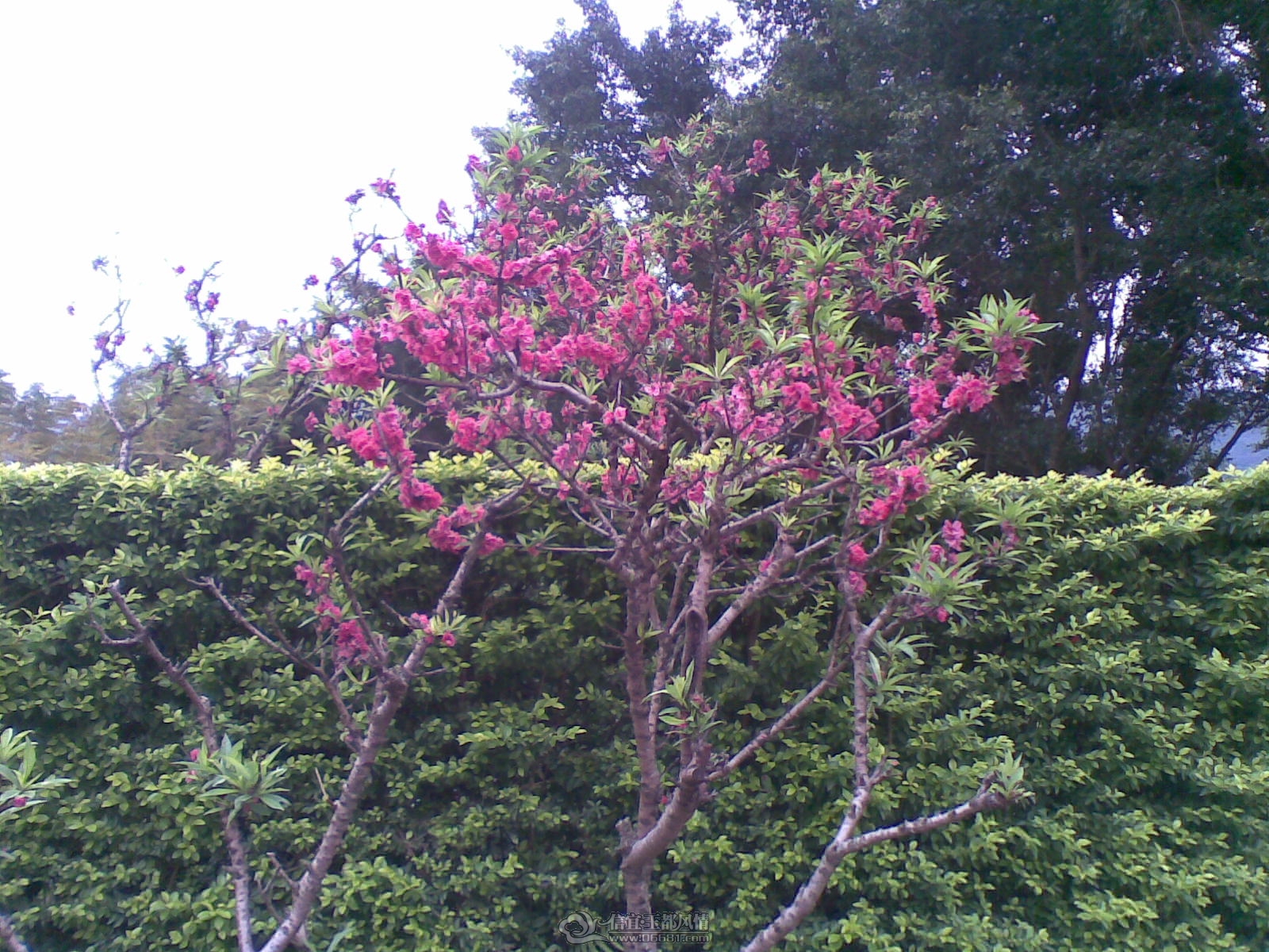 20120226(108).jpg