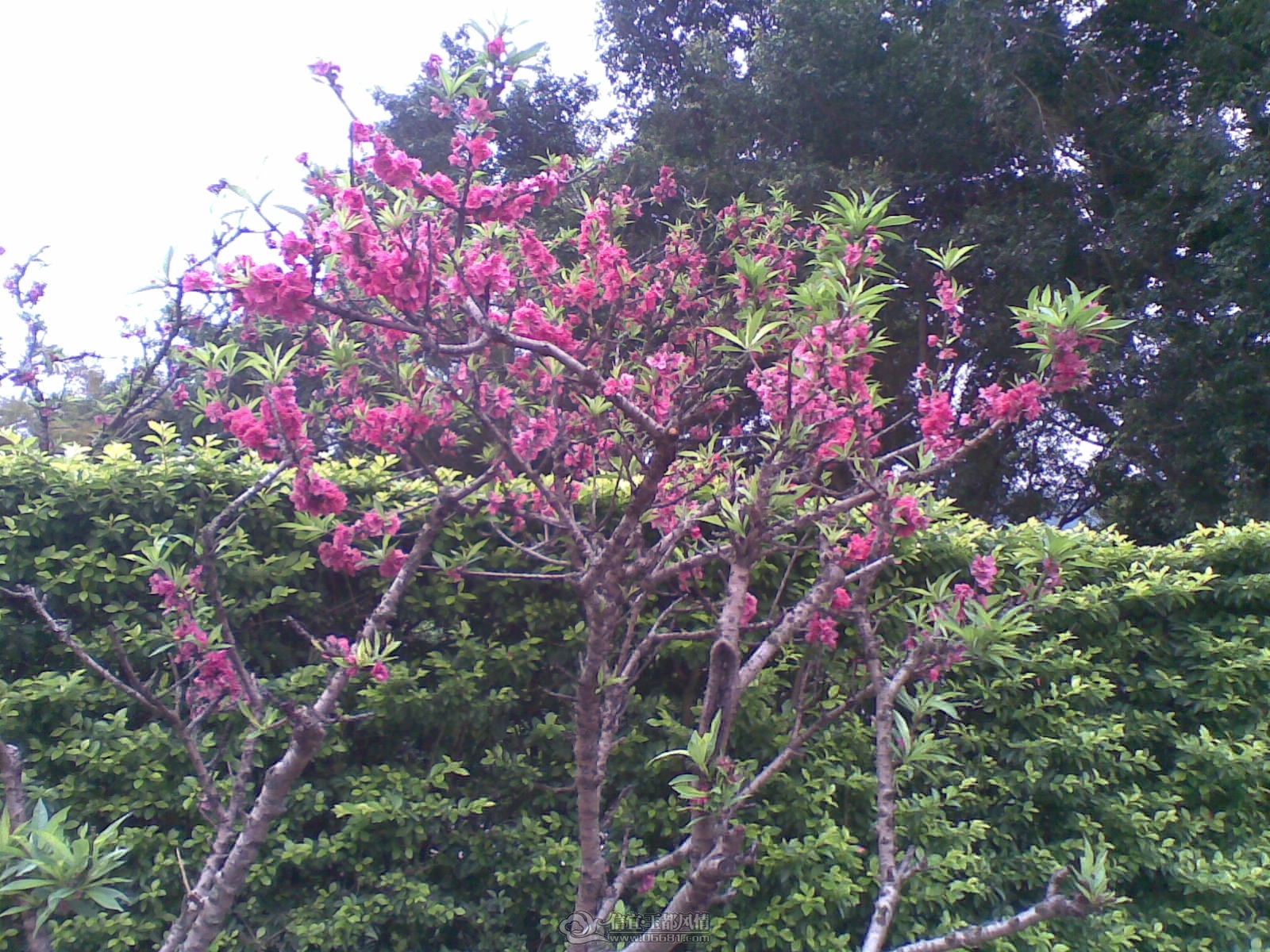 20120226(110).jpg