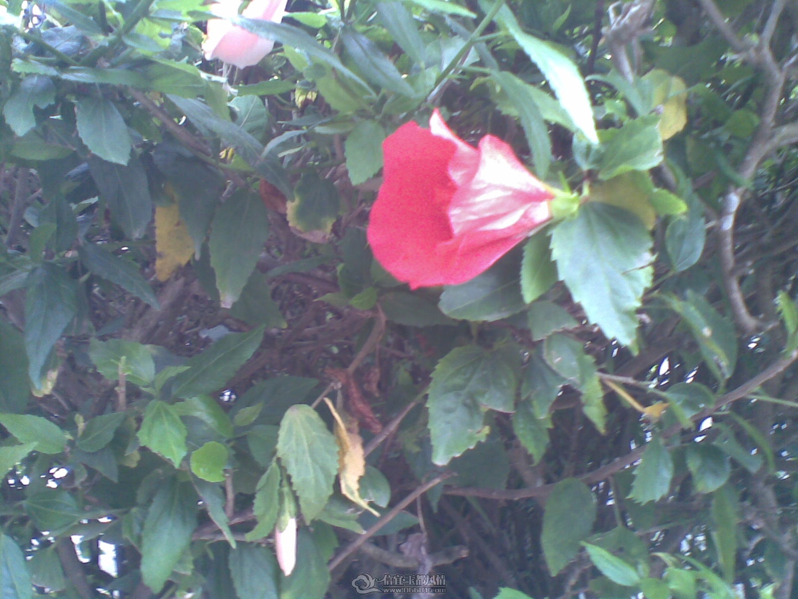 20120226(114).jpg