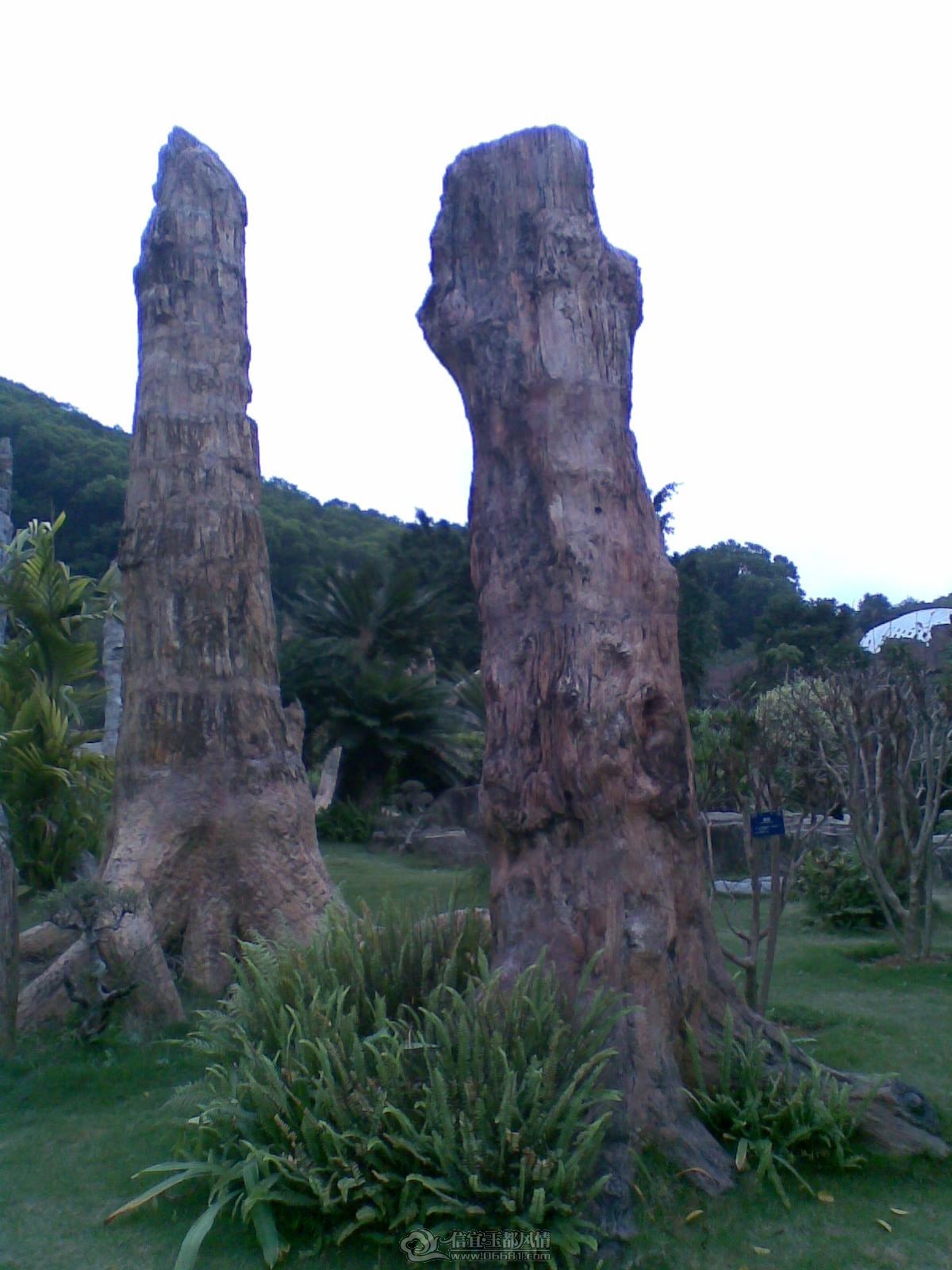 20120226(116).jpg