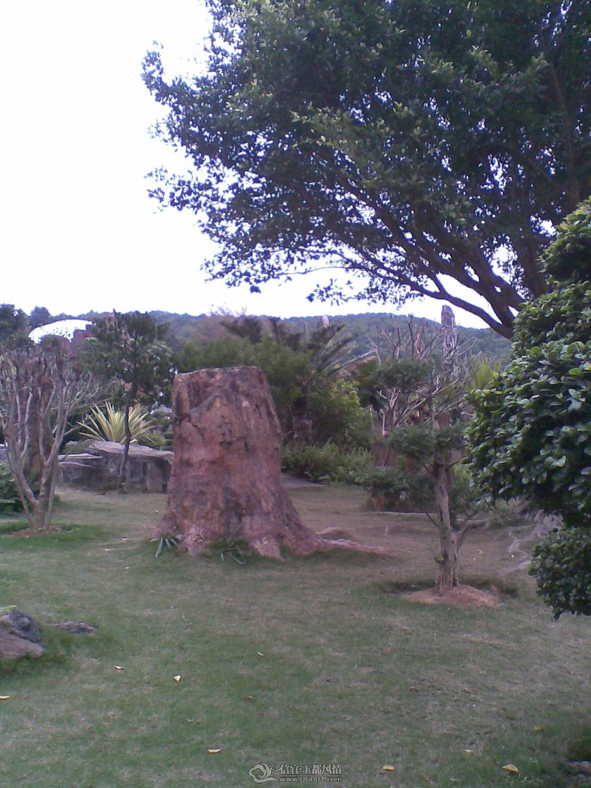 20120226(117).jpg