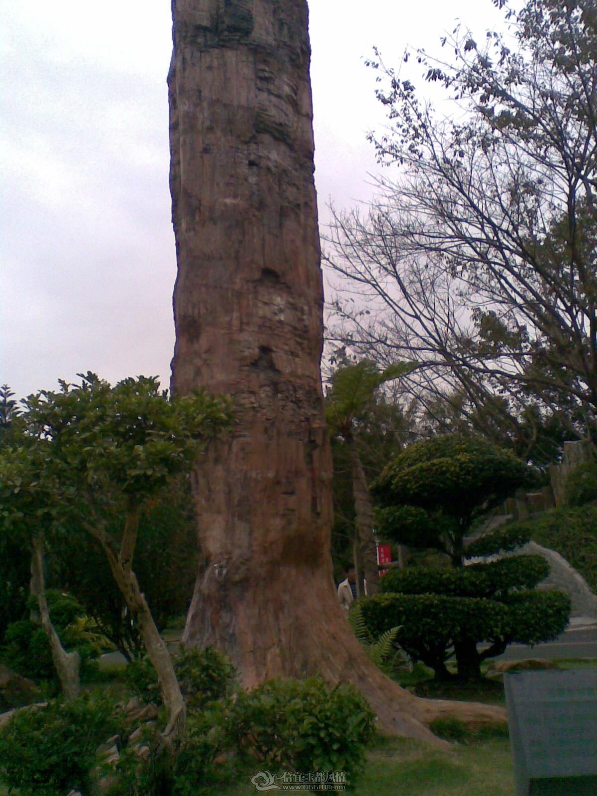 20120226(119).jpg