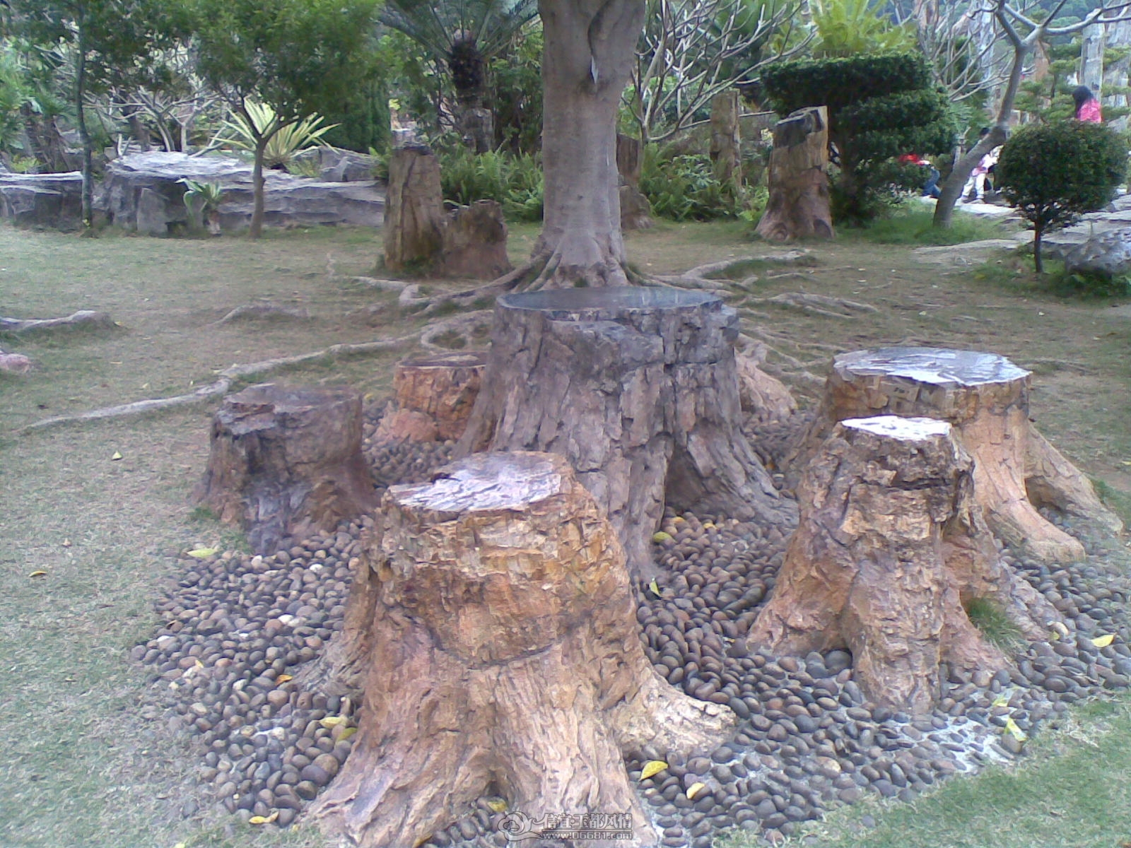 20120226(120).jpg