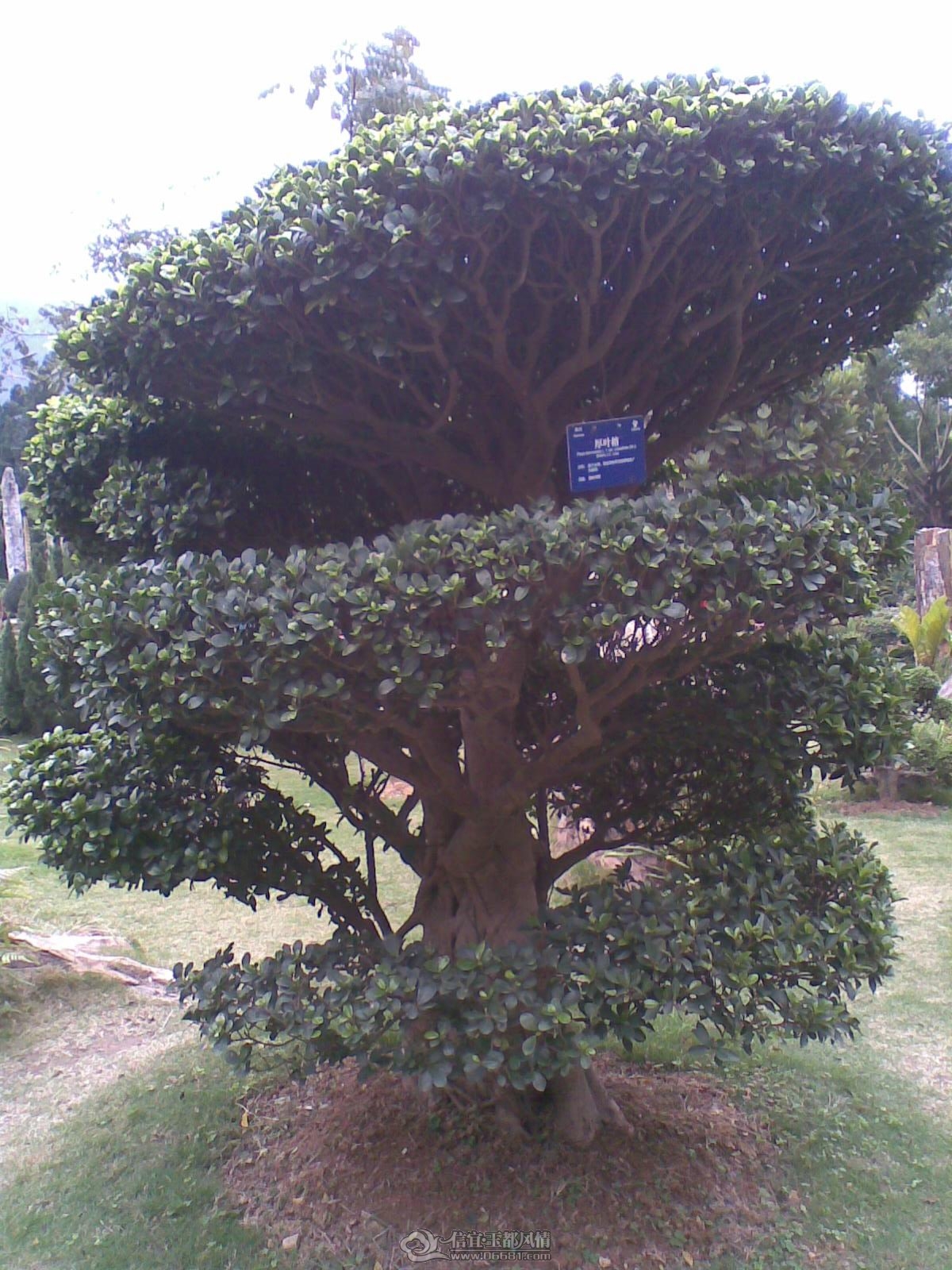 20120226(121).jpg