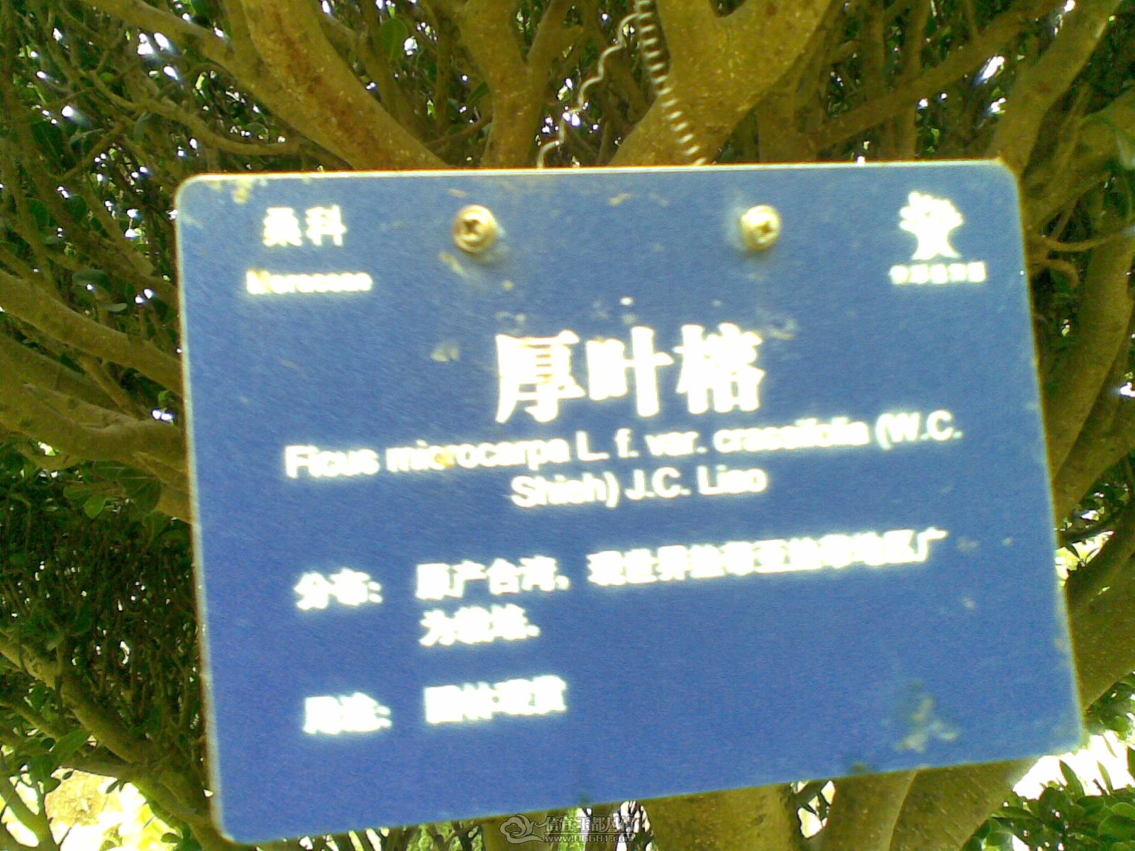 20120226(122).jpg