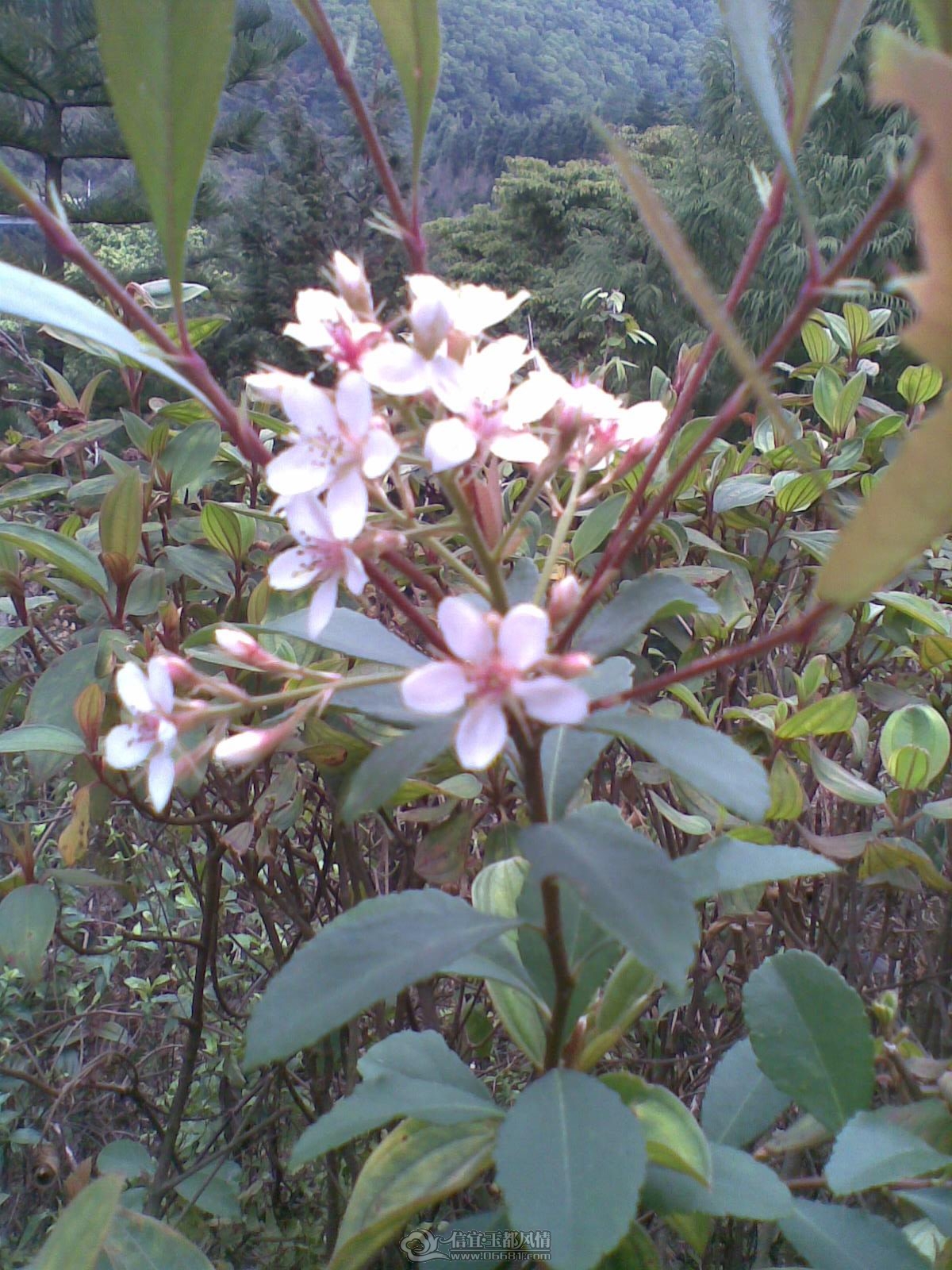 20120226(128).jpg