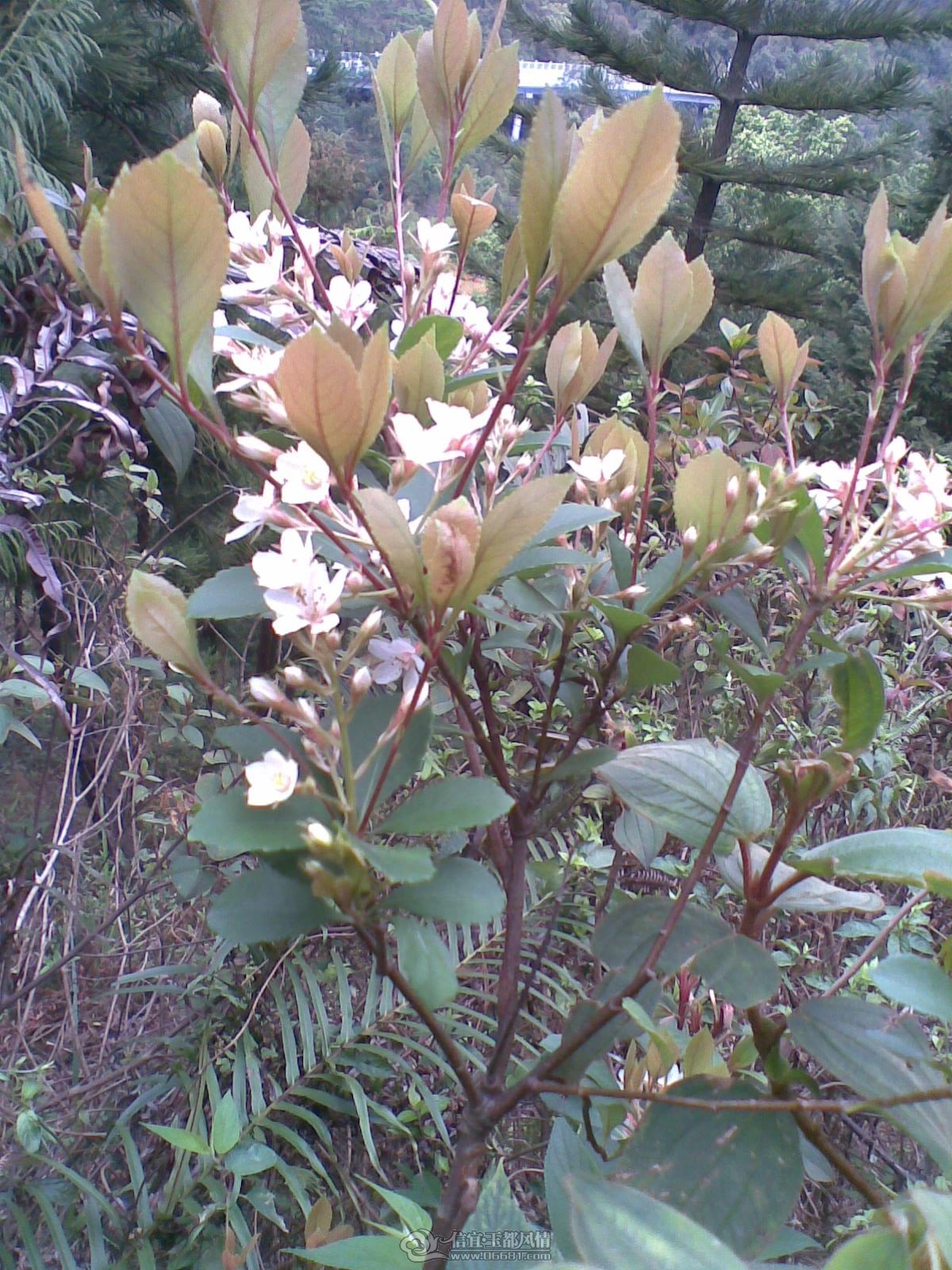20120226(129).jpg