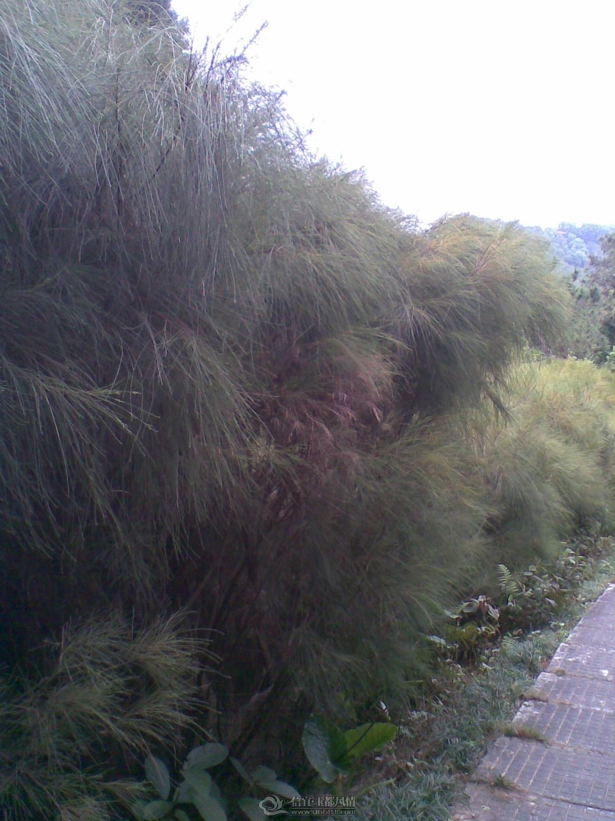 20120226(131).jpg