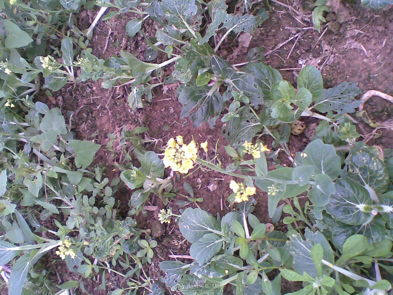 20120226(135).jpg