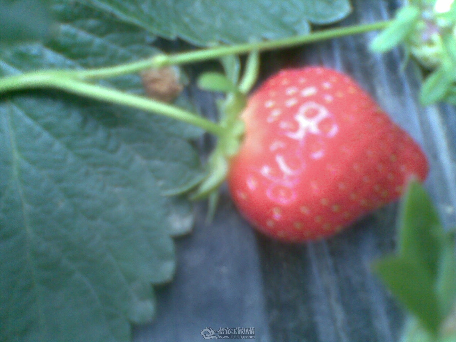 20120226(139).jpg