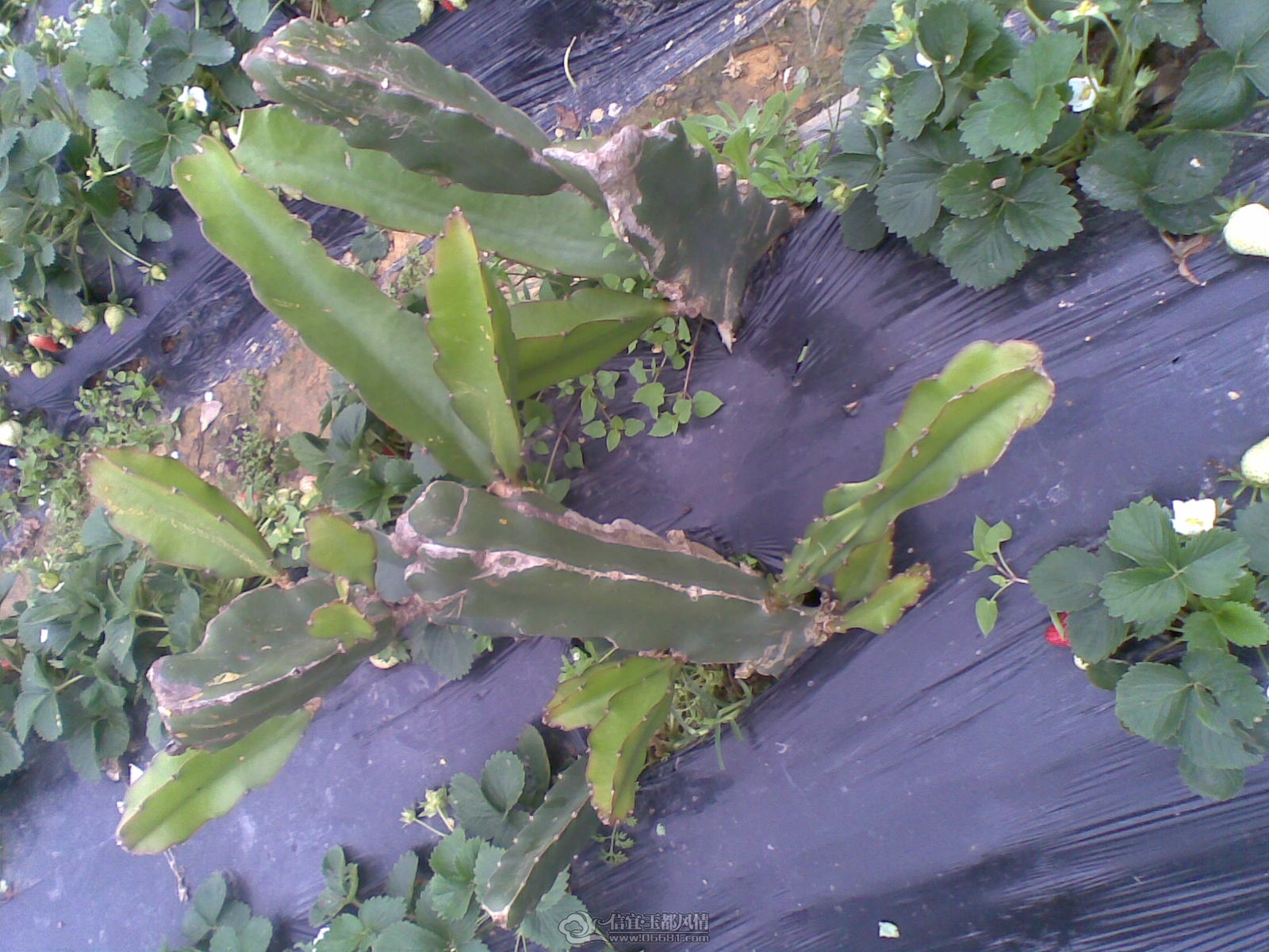 20120226(147).jpg