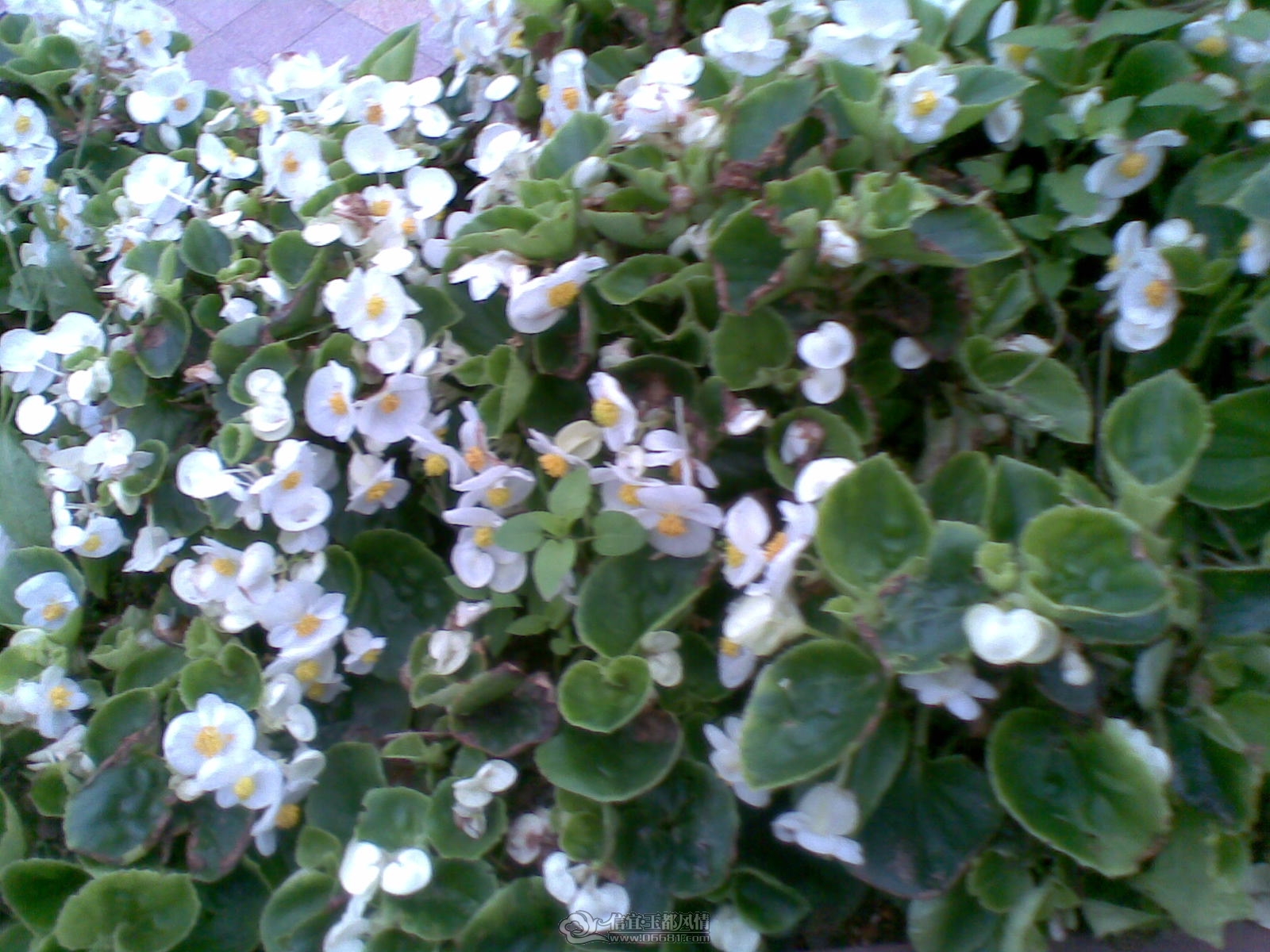 20120226(148).jpg