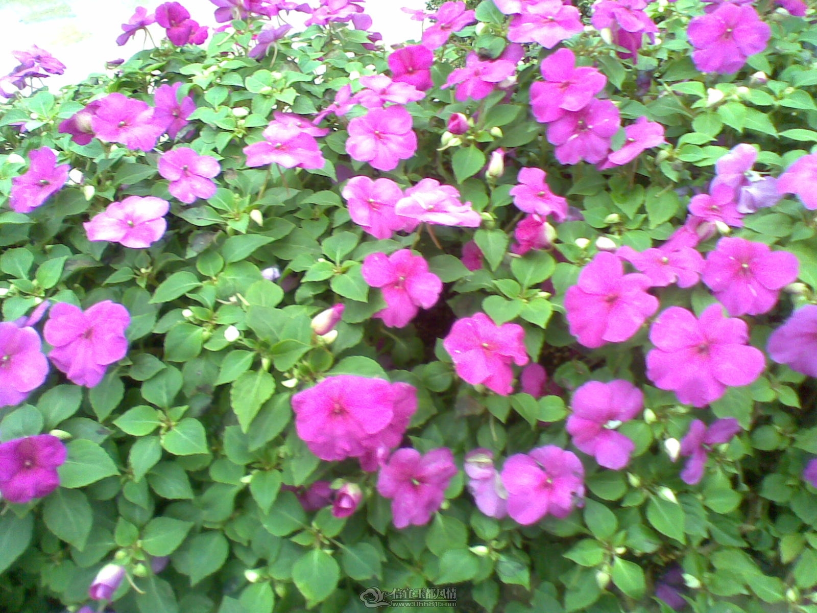 20120226(149).jpg