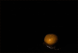 2012022714480953676.gif