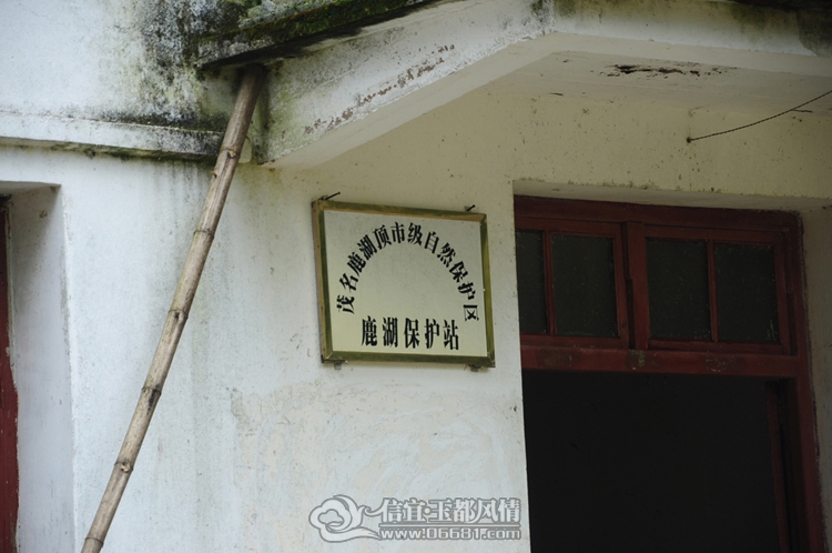 DSC_0766.JPG