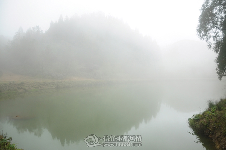 DSC_0829.JPG