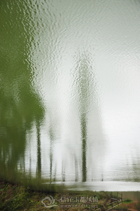 DSC_0838.JPG