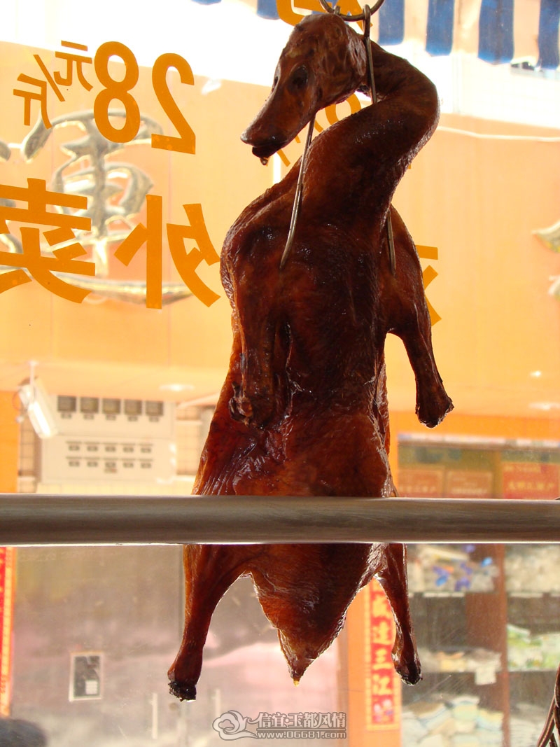 DSC01555.JPG