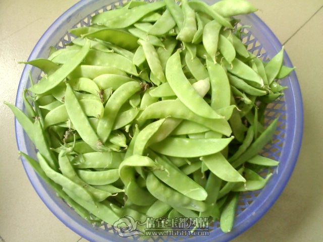 0308132300.jpg