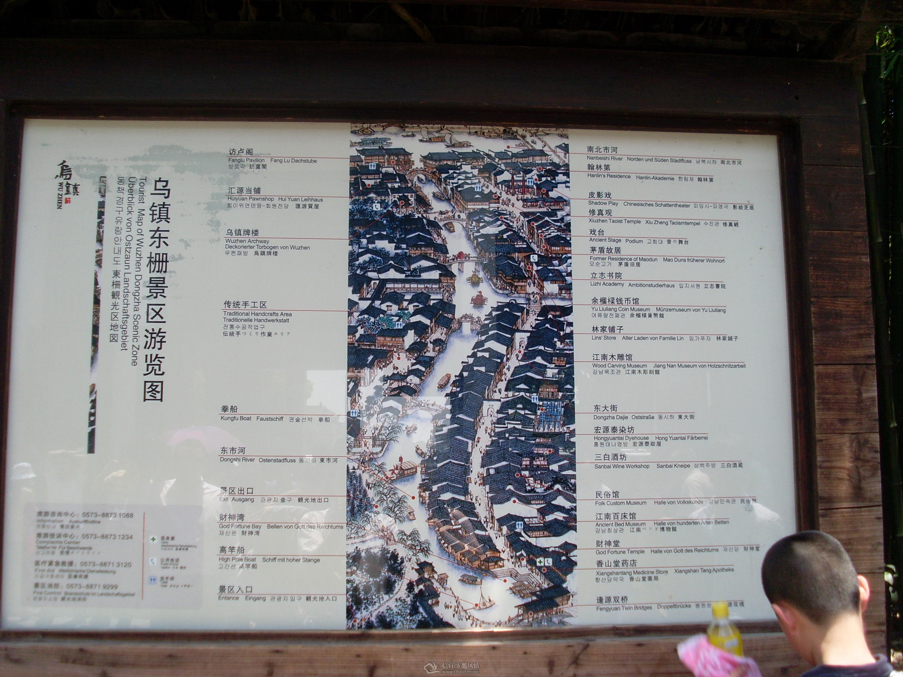 SL371682.JPG