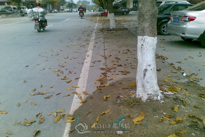 20120305_001_1.jpg